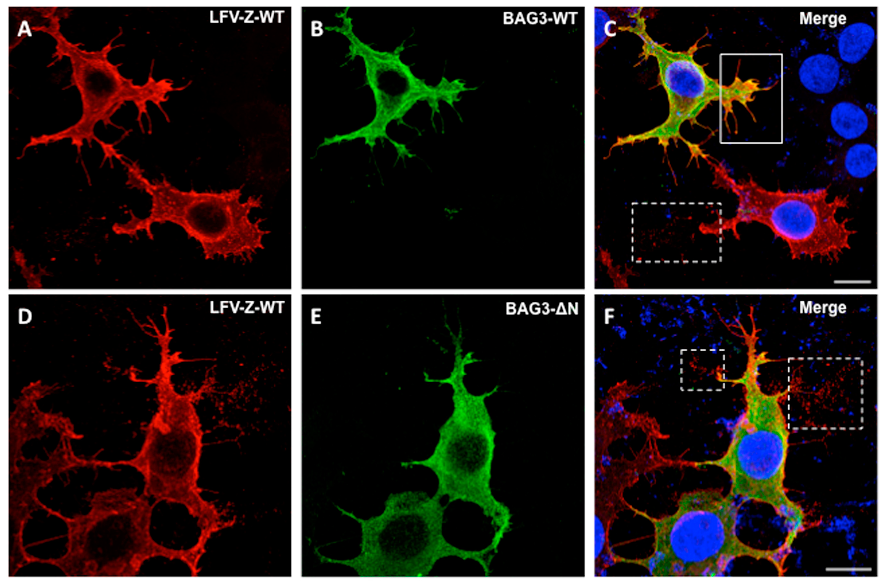 Diseases 06 00064 g005