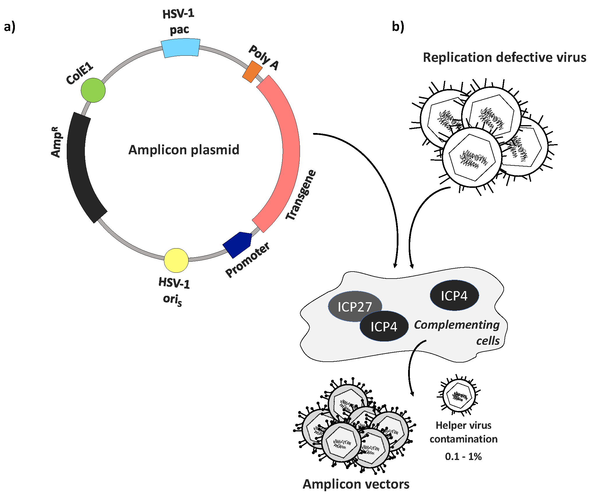 Viral Vectors for Gene Therapy: Methods and Protocols (Methods in Molecular Medicine)