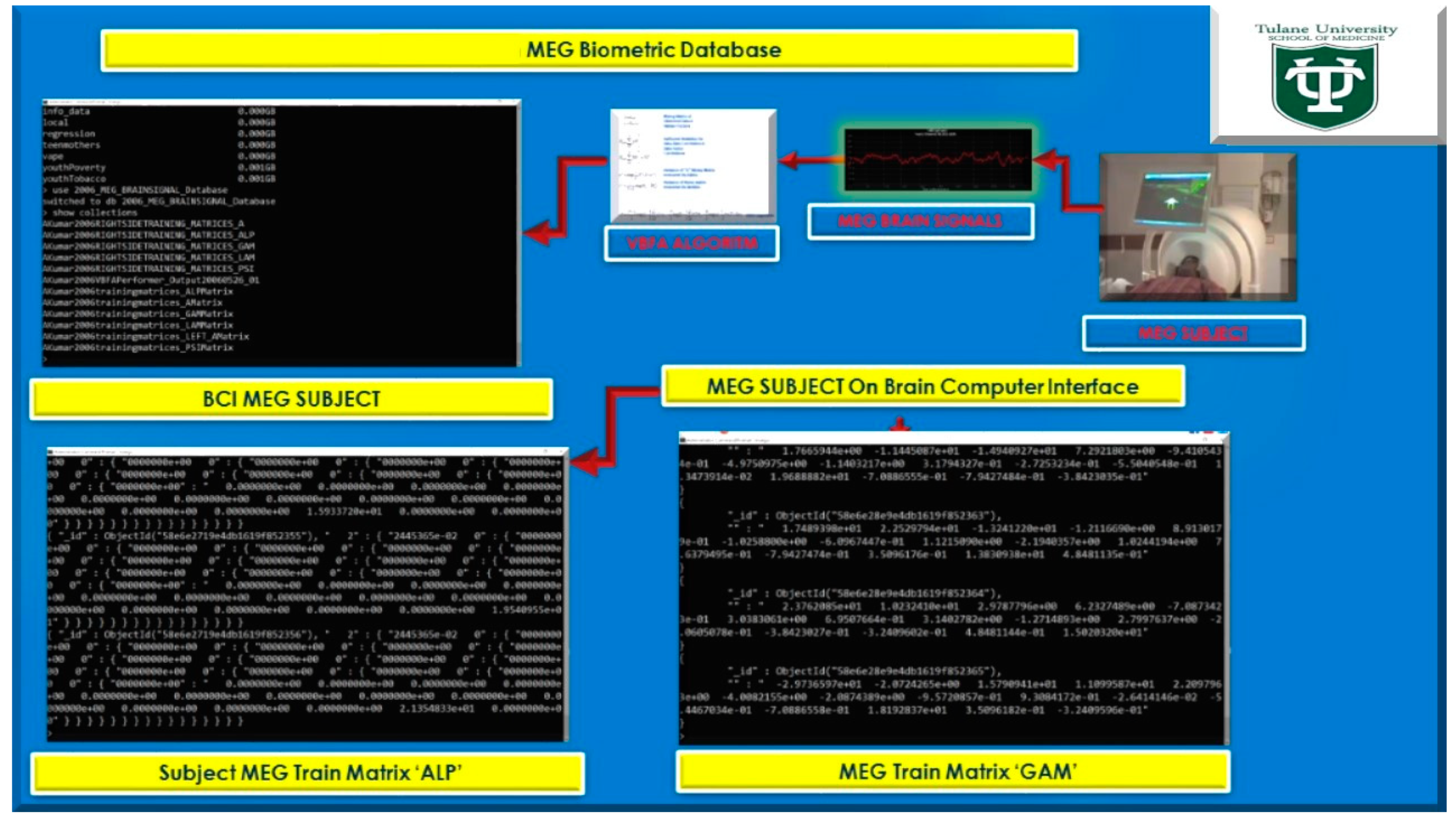 Diseases 06 00089 g009 Diseases 06 00089 g009