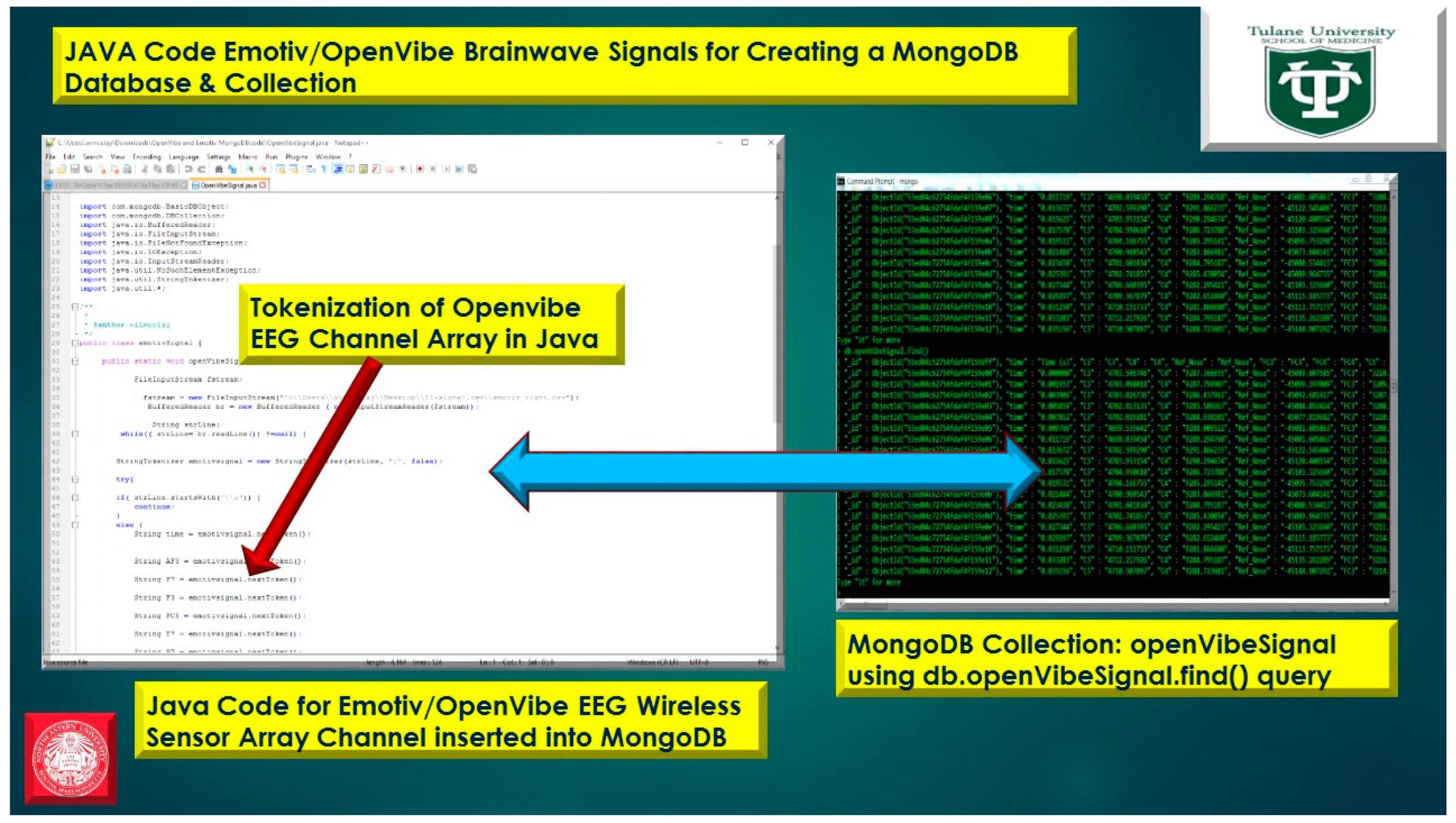 Diseases 06 00089 g022 Diseases 06 00089 g022