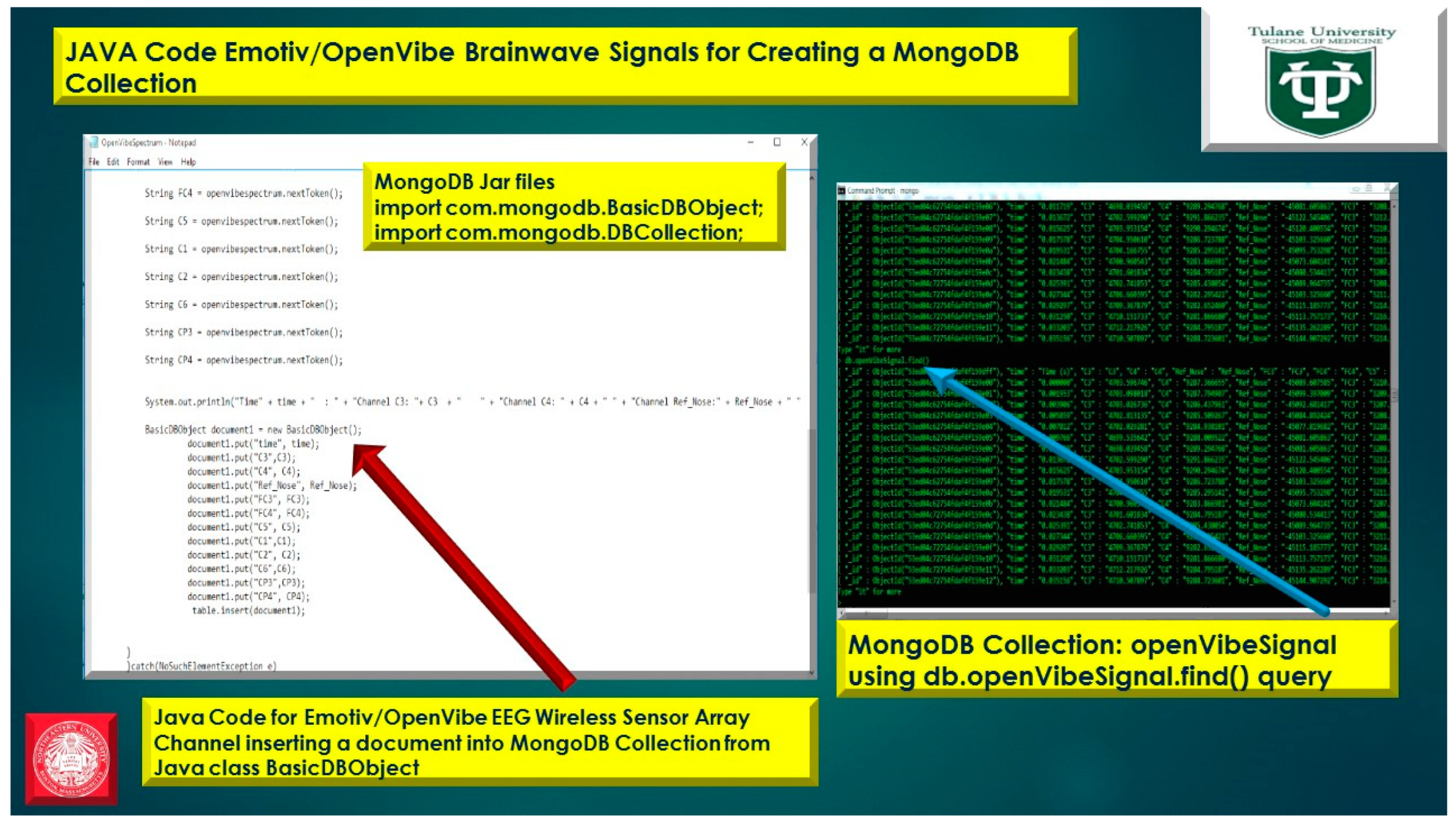 Diseases 06 00089 g024 Diseases 06 00089 g024