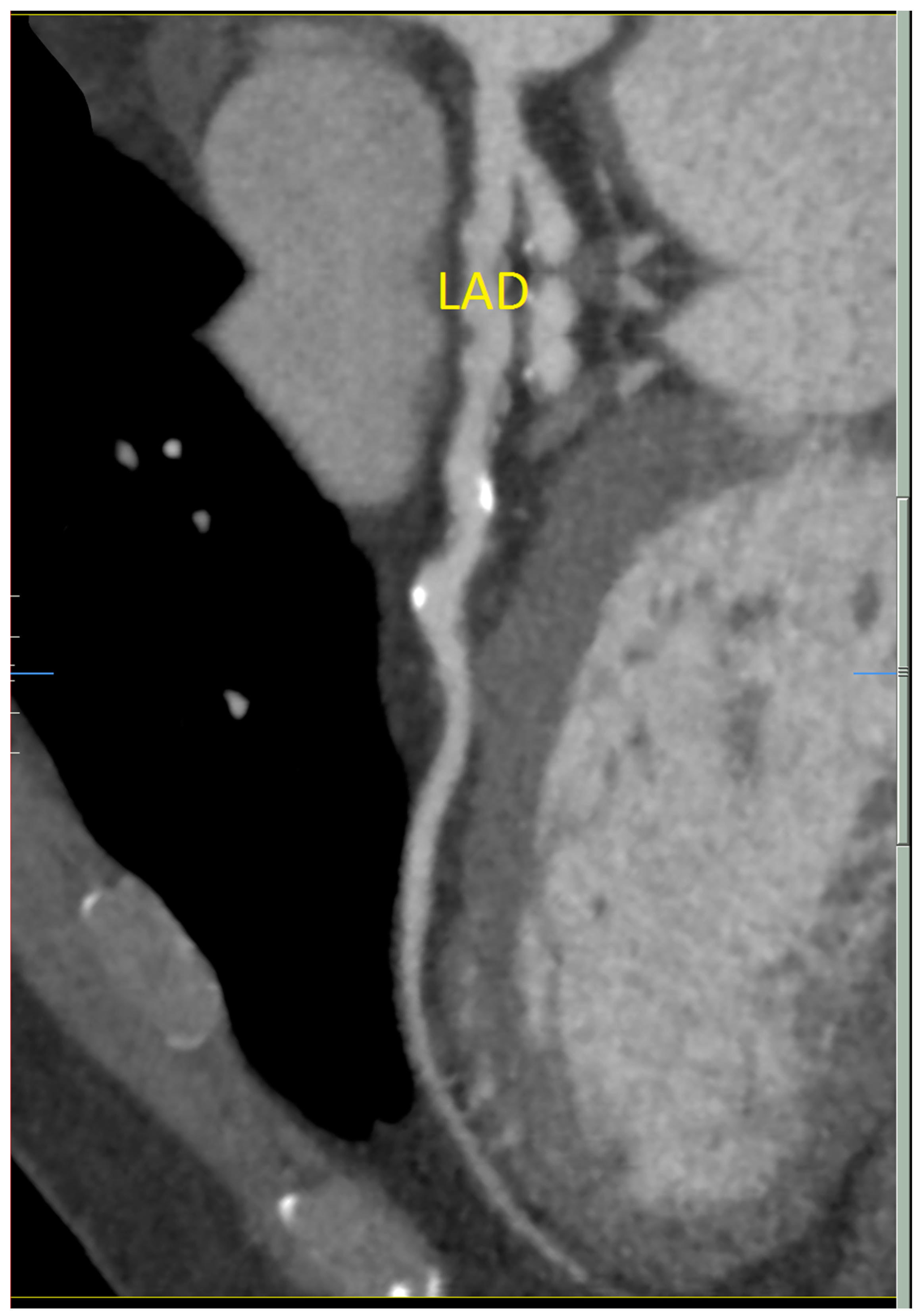 Diseases 06 00104 g001