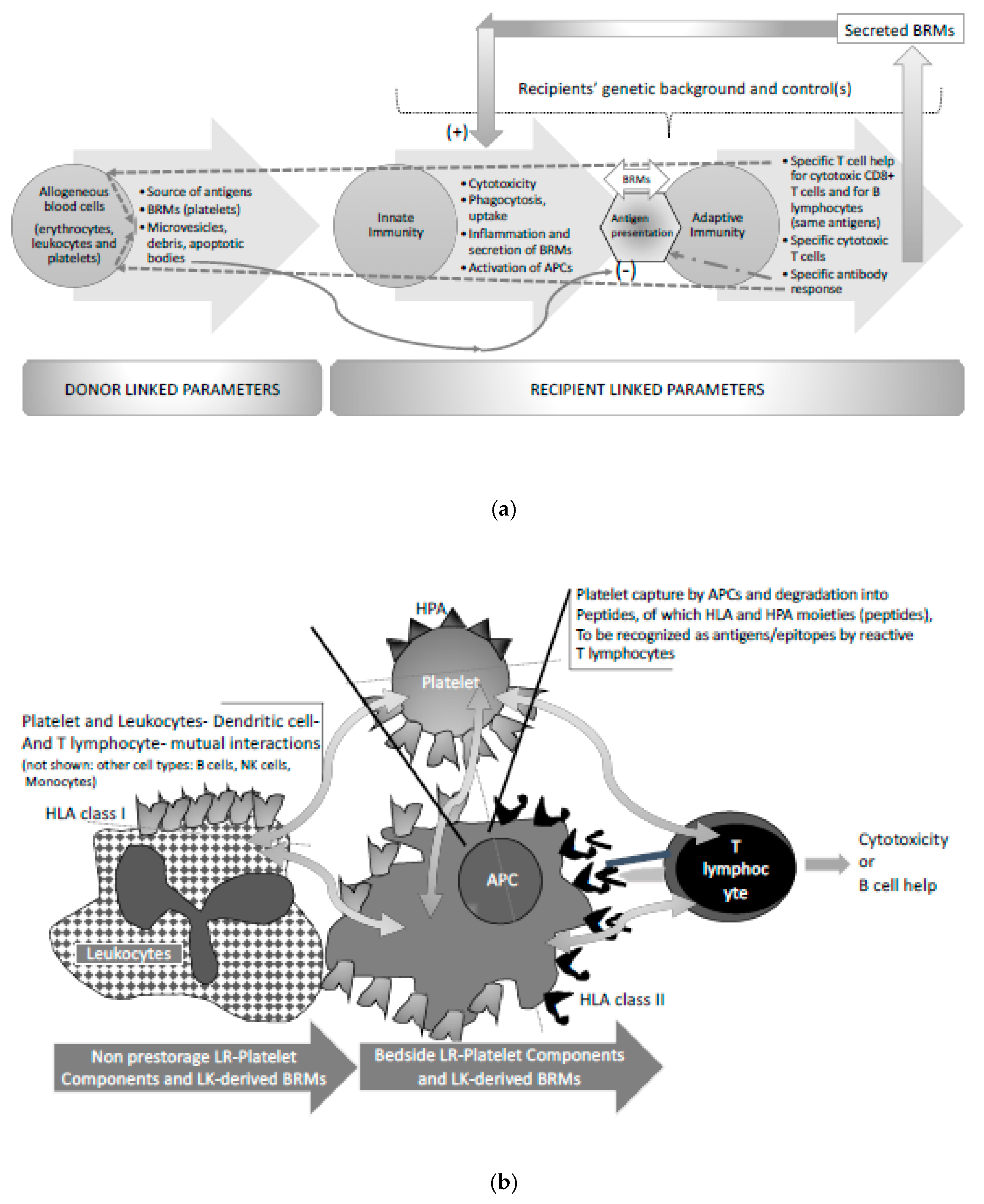 Diseases 07 00007 g002