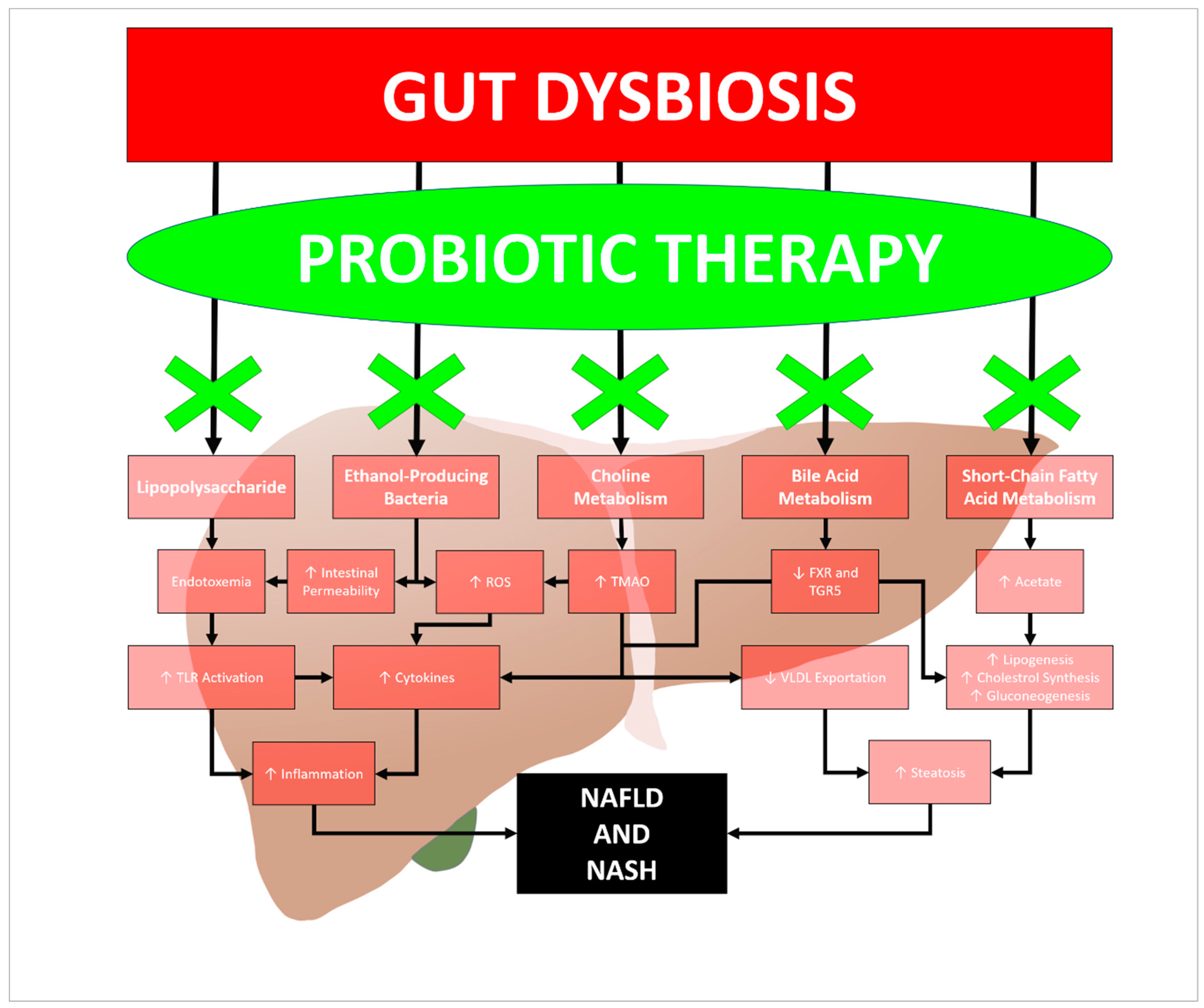 Diseases 07 00027 g001