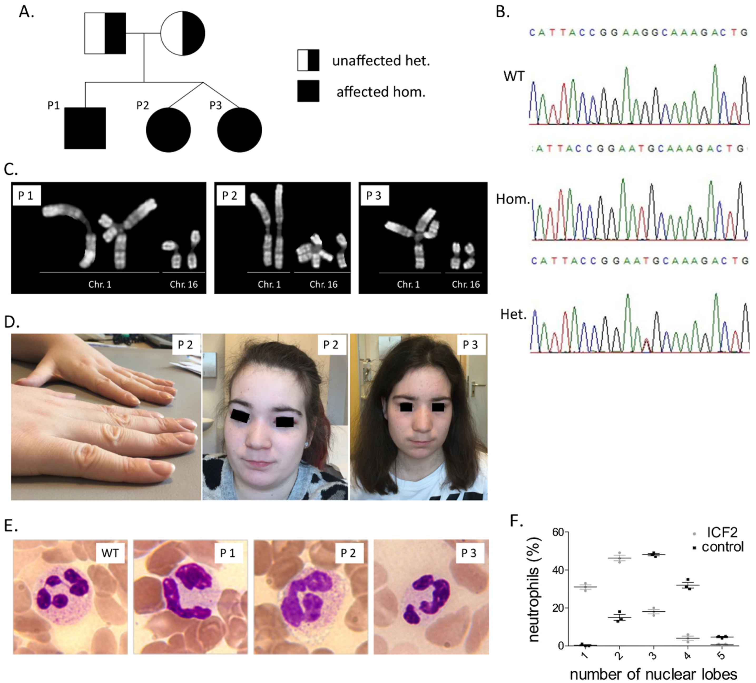 Diseases 07 00034 g001 550