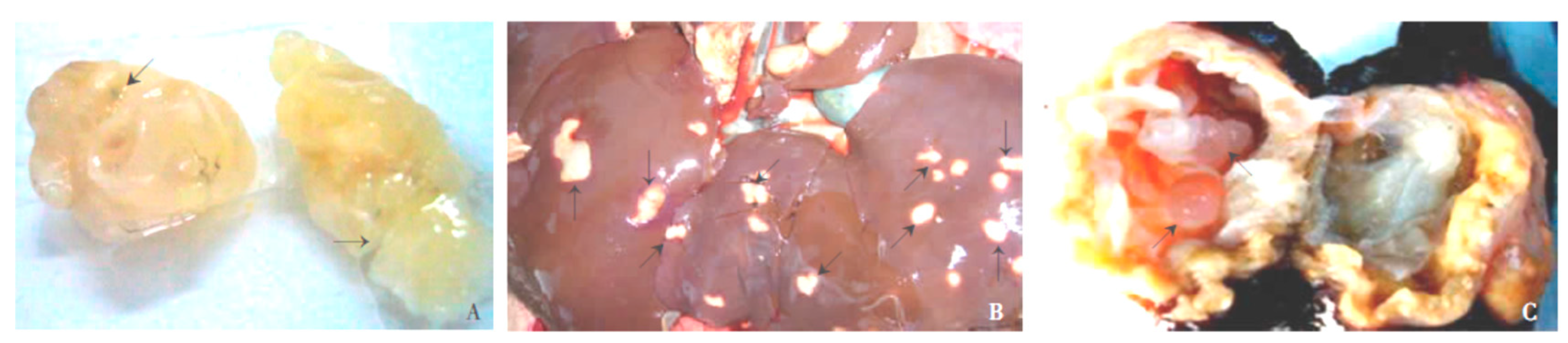 Diseases 07 00051 g003 Diseases 07 00051 g003