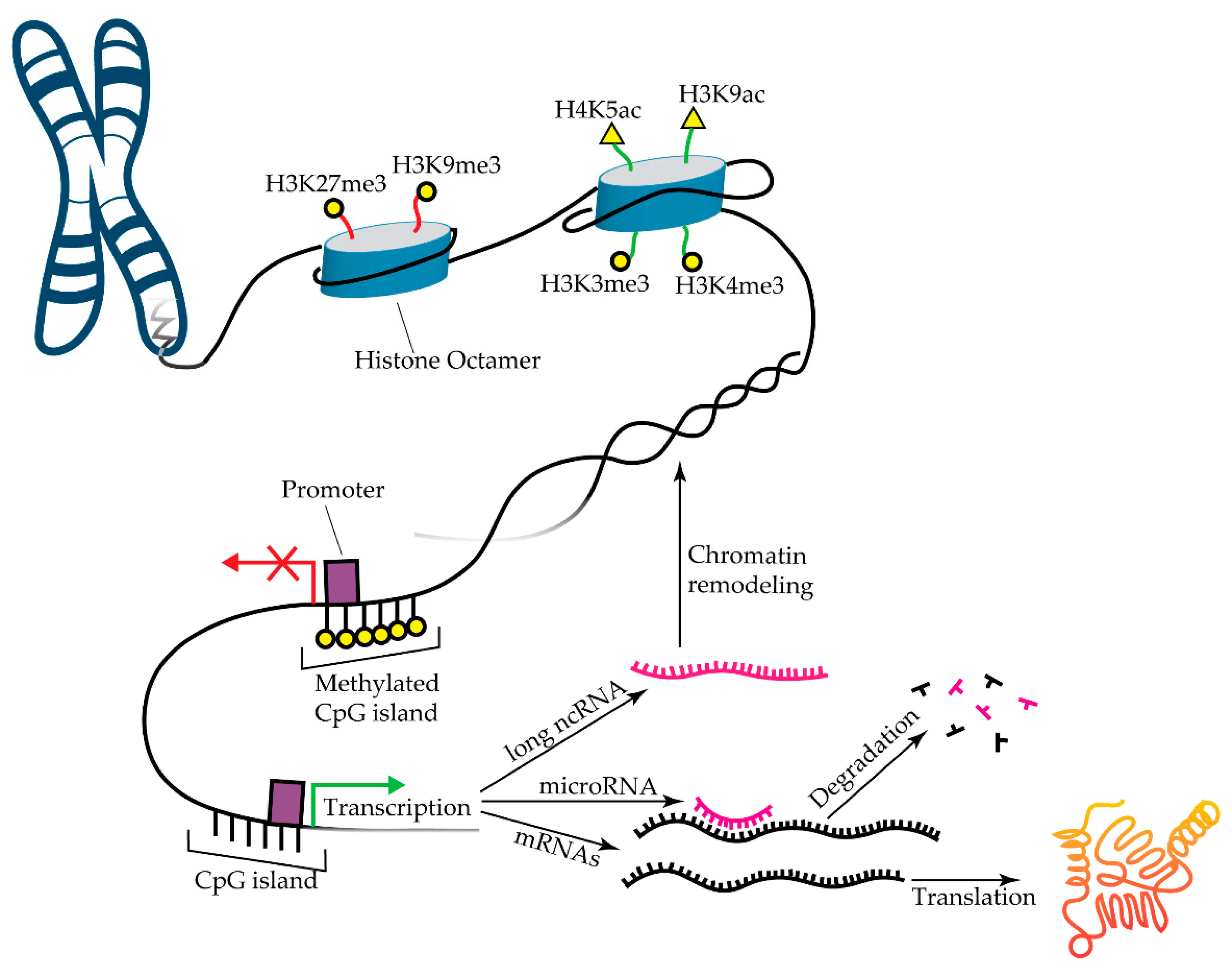Diseases 07 00052 g002 Diseases 07 00052 g002
