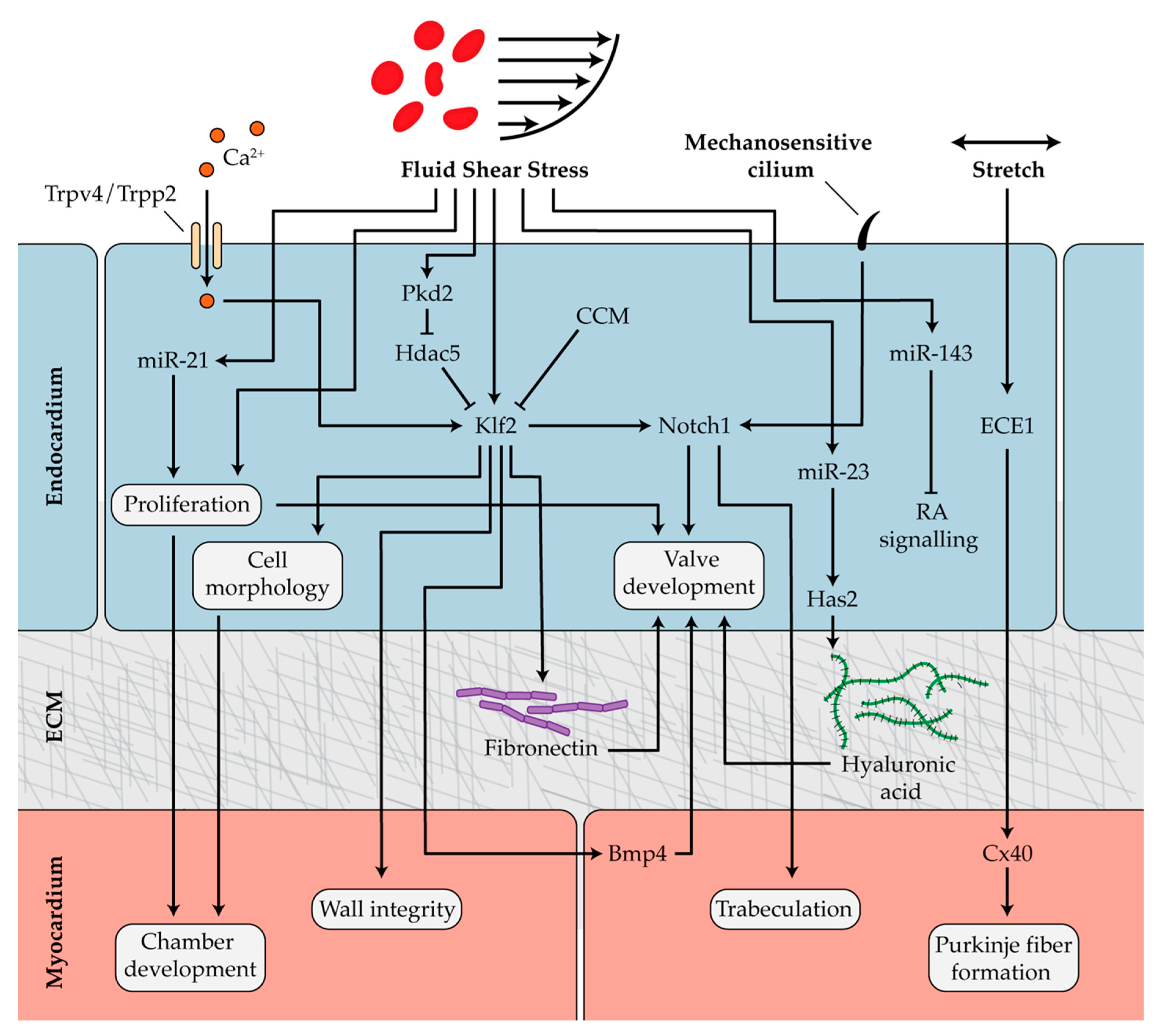 Diseases 07 00052 g003 Diseases 07 00052 g003