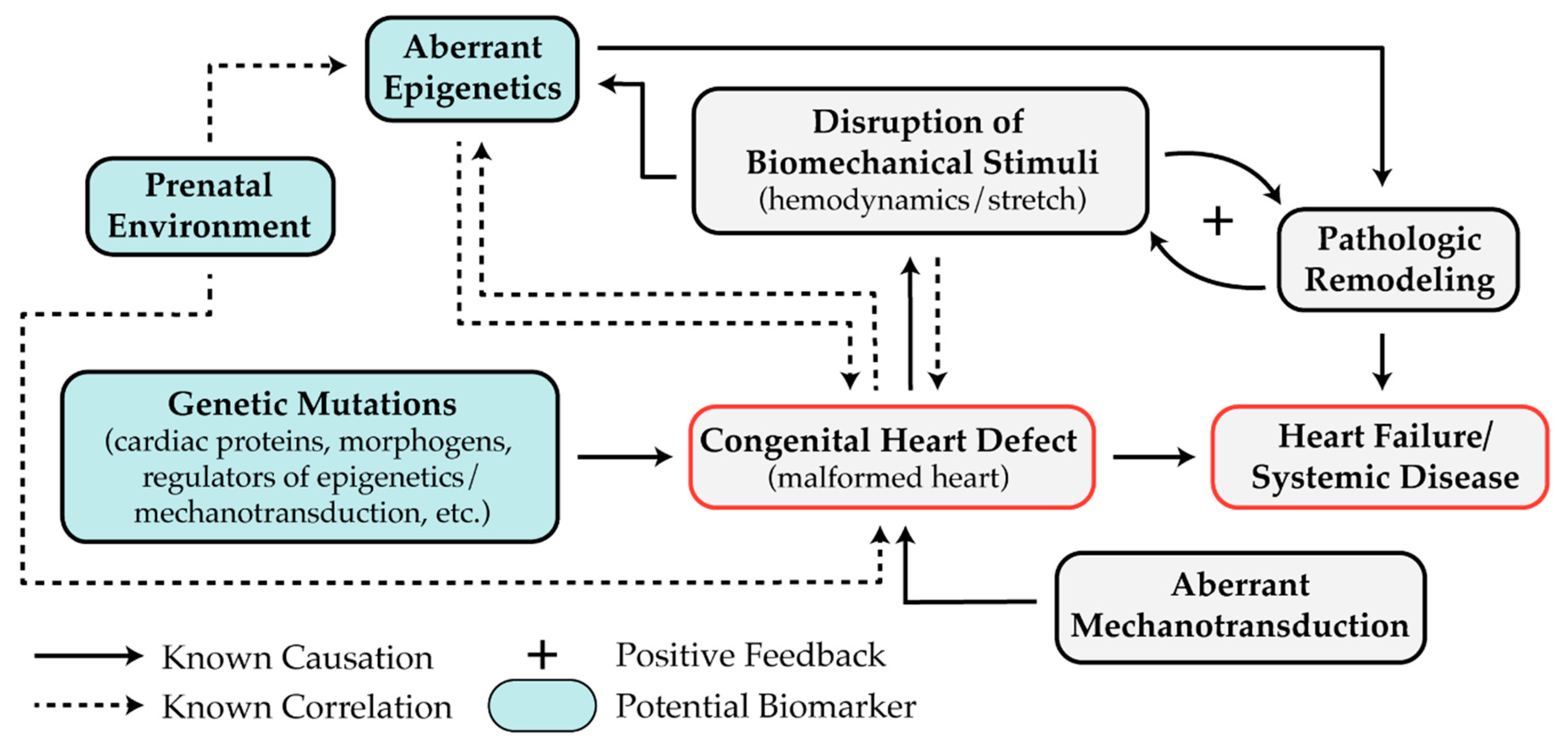 Diseases 07 00052 g004 Diseases 07 00052 g004