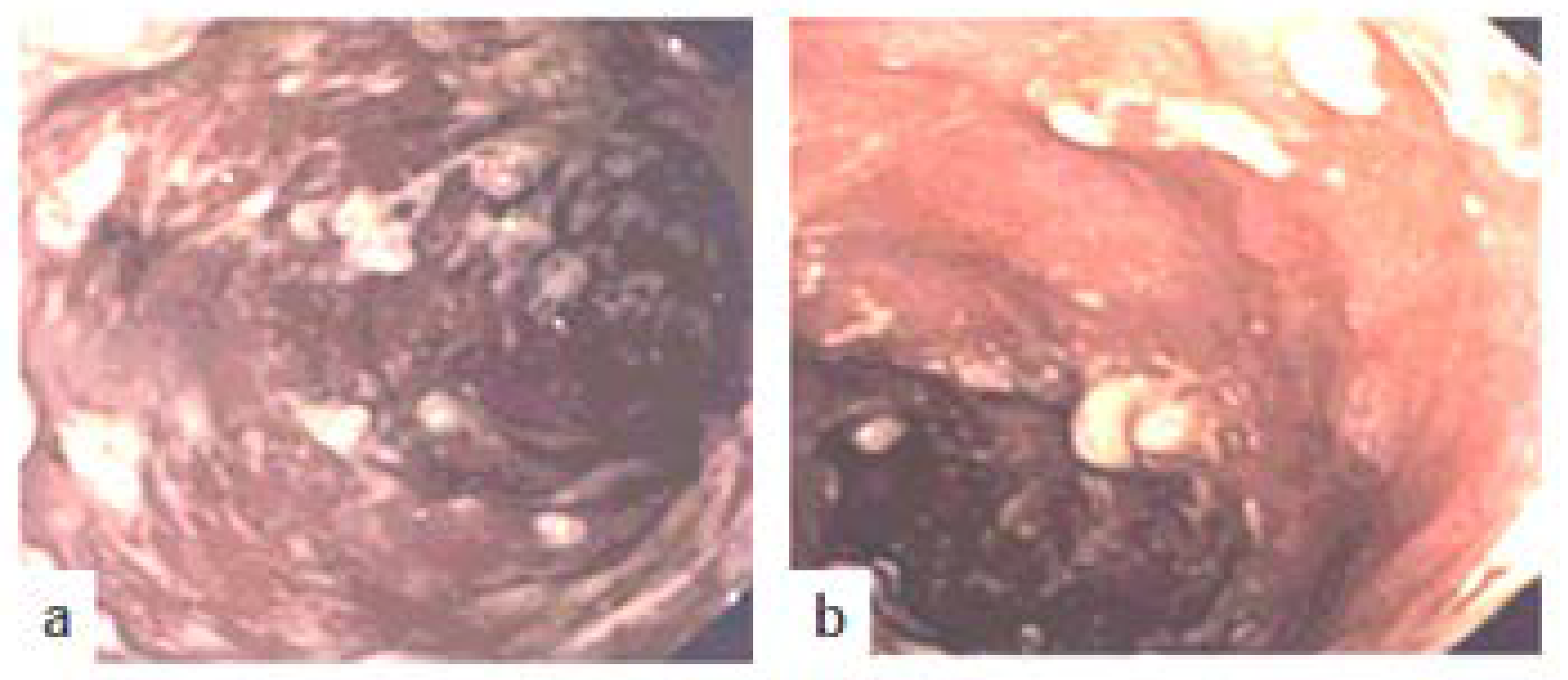 Diseases 07 00055 g002 550