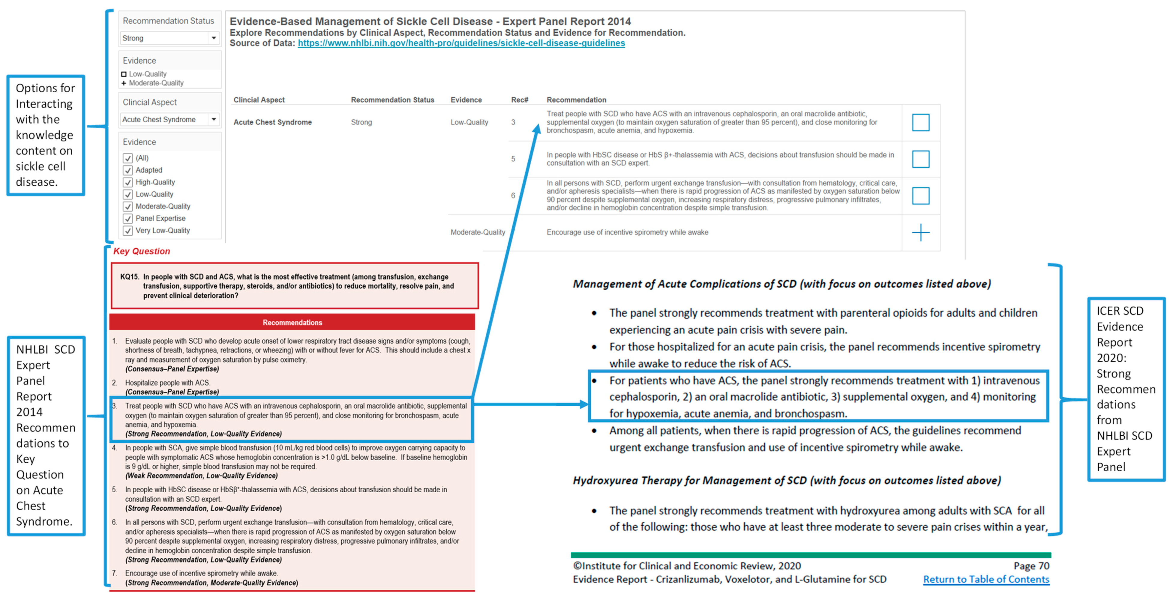 Diseases 08 00039 g011 Diseases 08 00039 g011
