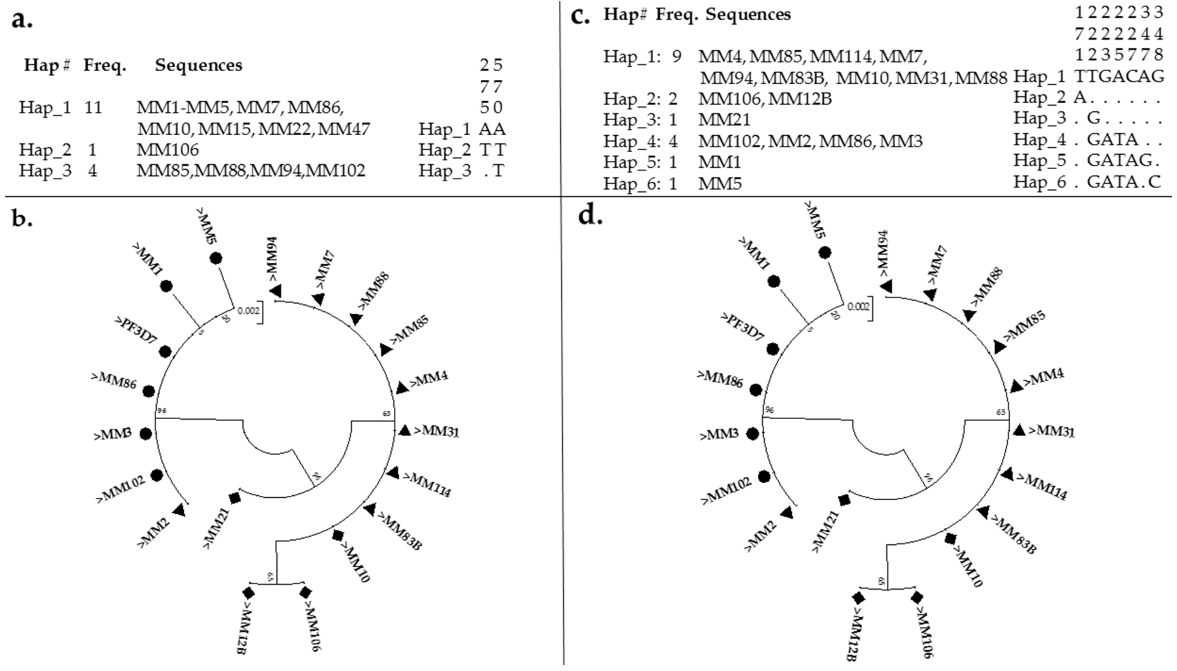 Diseases 09 00006 g002