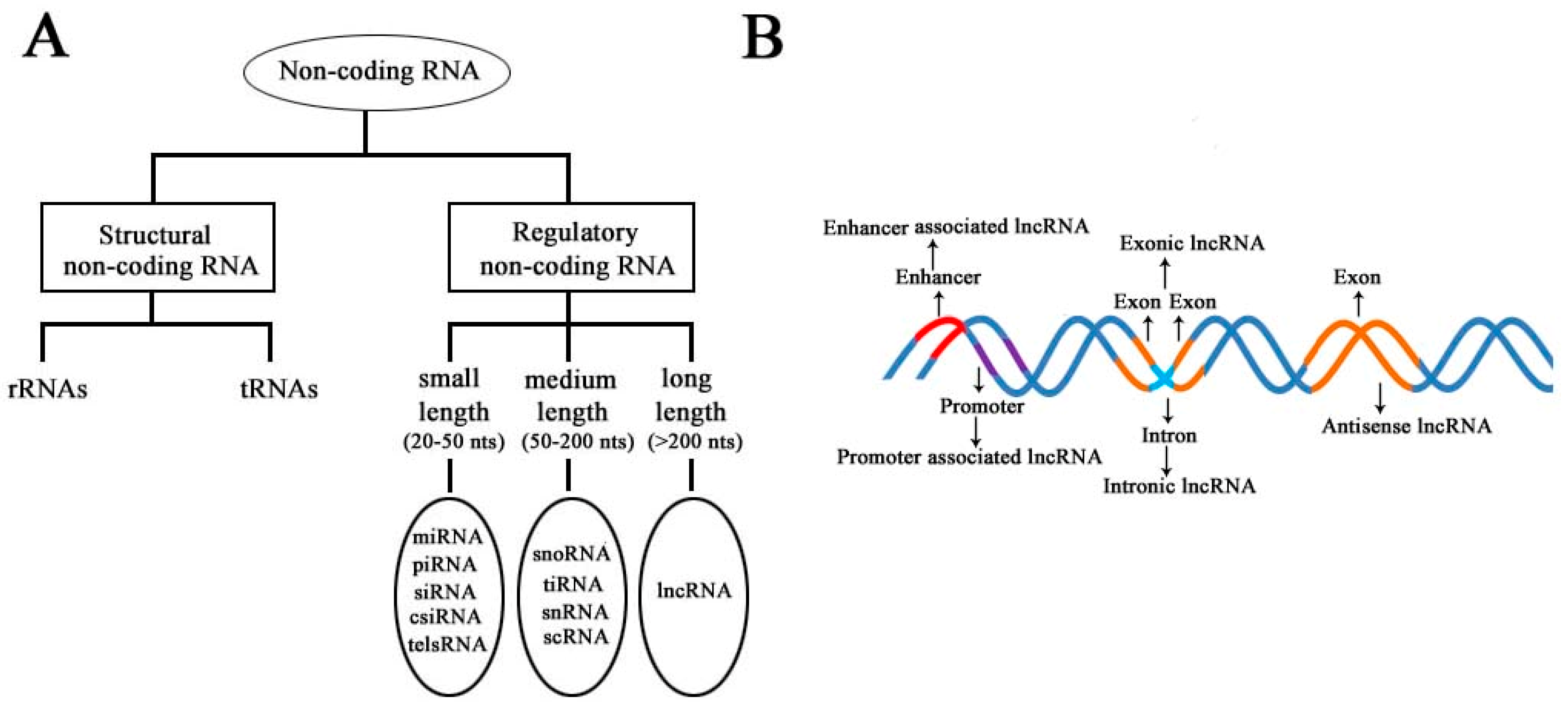 Diseases 09 00008 g001 Diseases 09 00008 g001