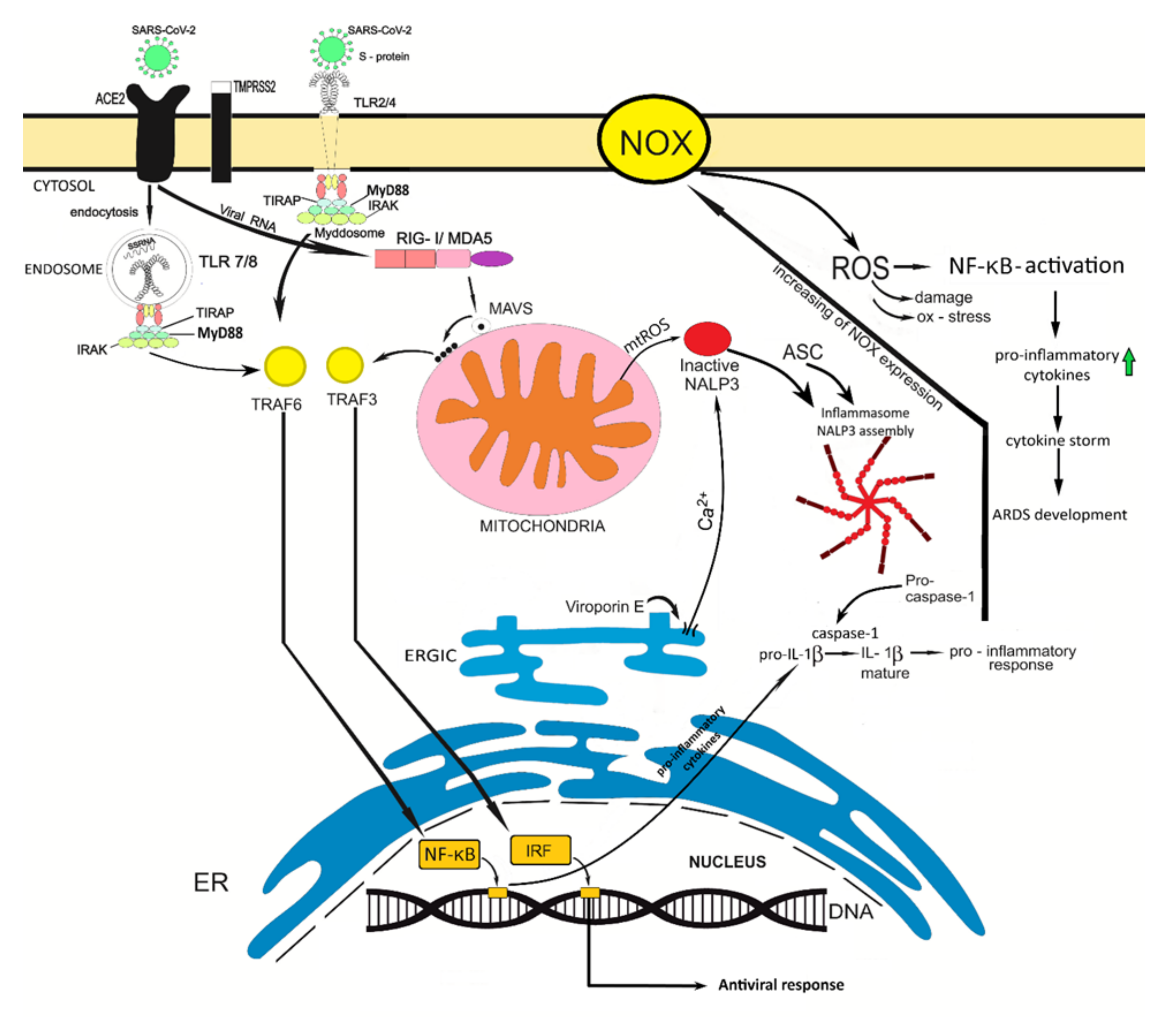 Diseases 09 00017 g001 Diseases 09 00017 g001