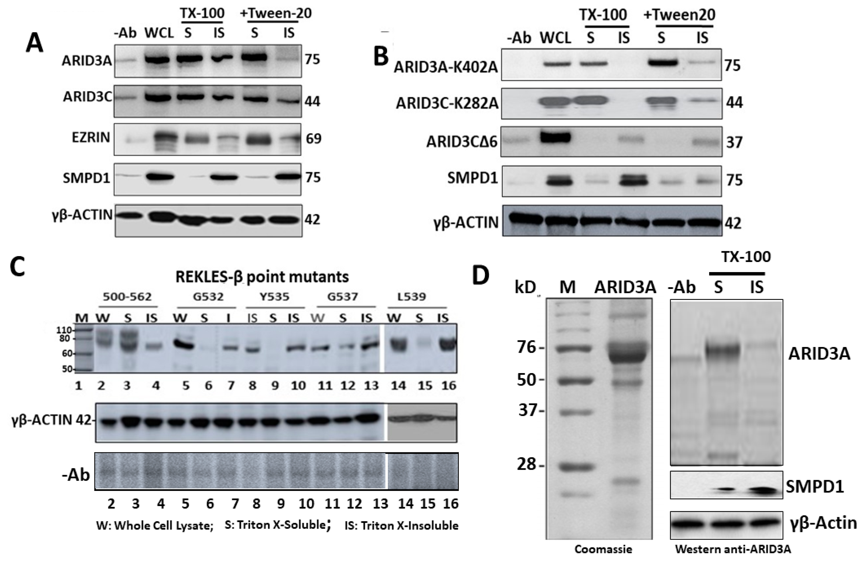 Diseases 09 00022 g003 Diseases 09 00022 g003