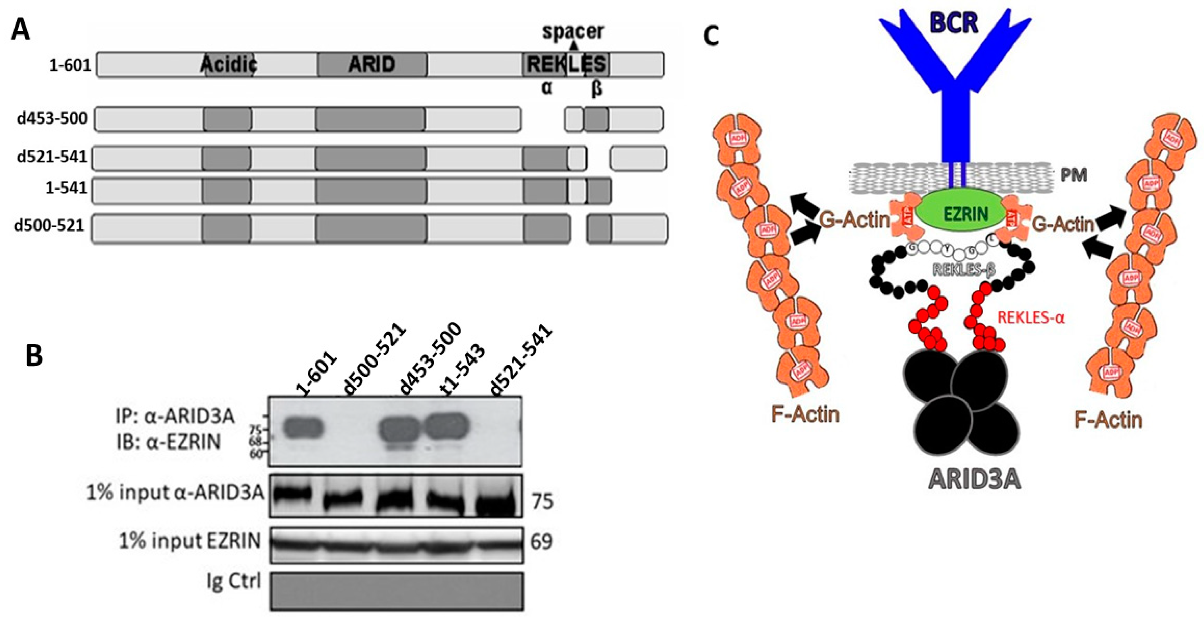 Diseases 09 00022 g004 Diseases 09 00022 g004