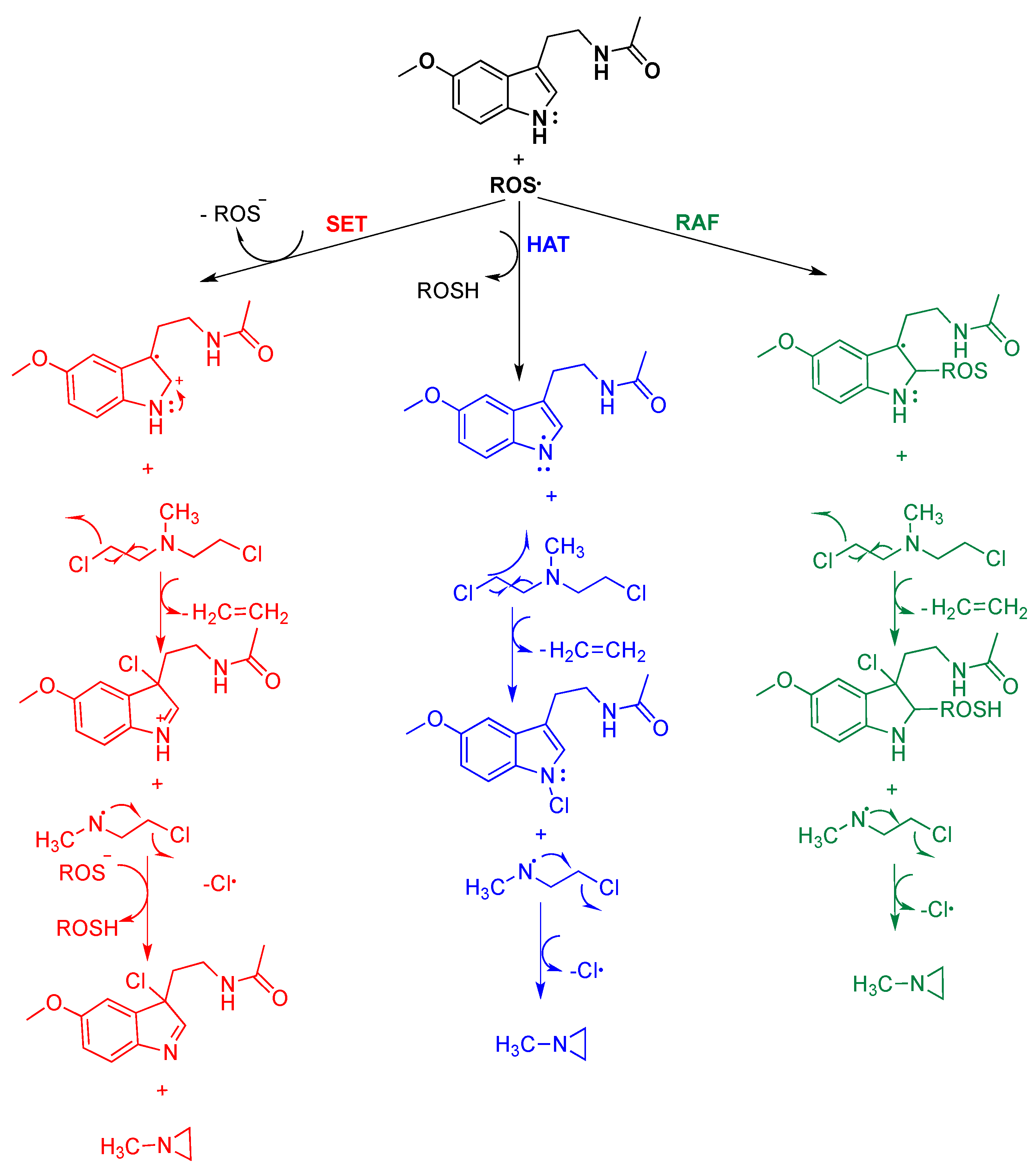 Diseases 09 00027 sch001