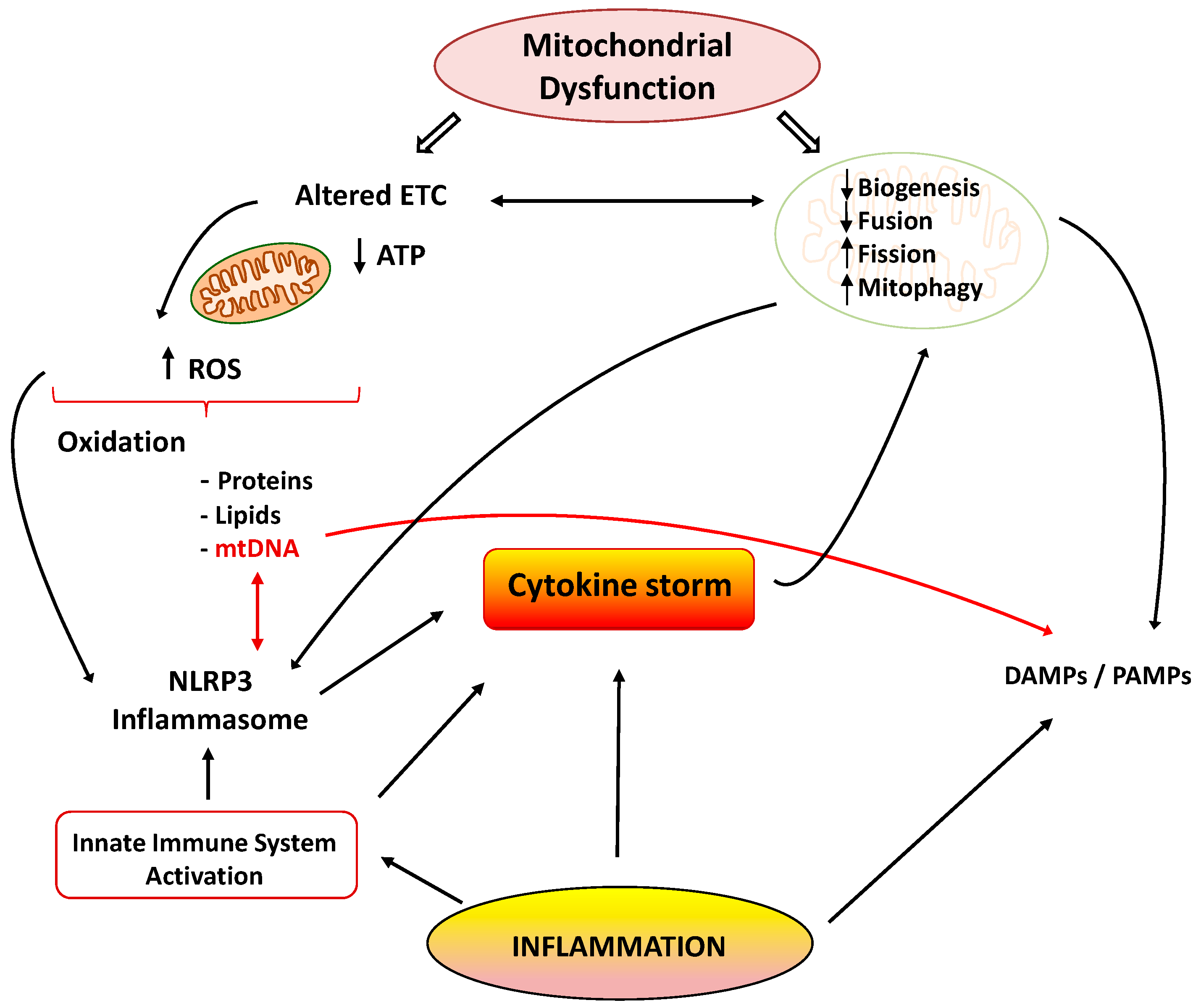 Diseases 09 00030 g001 Diseases 09 00030 g001