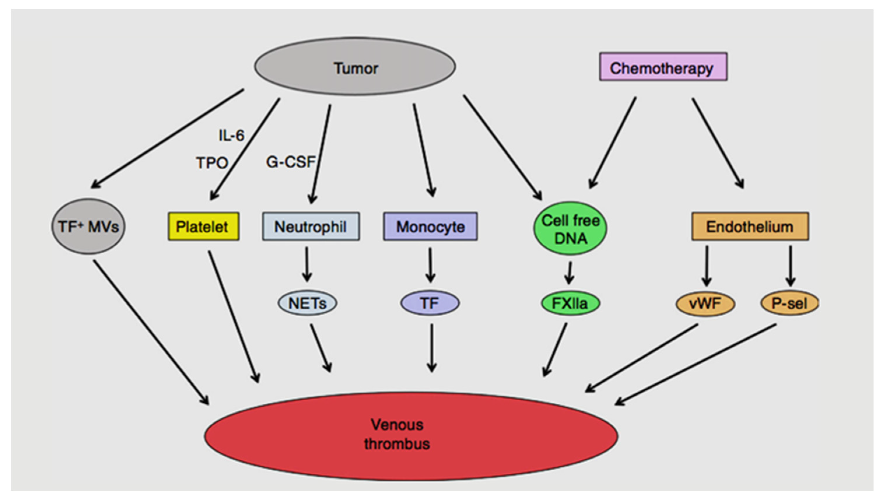 Diseases 09 00034 g001