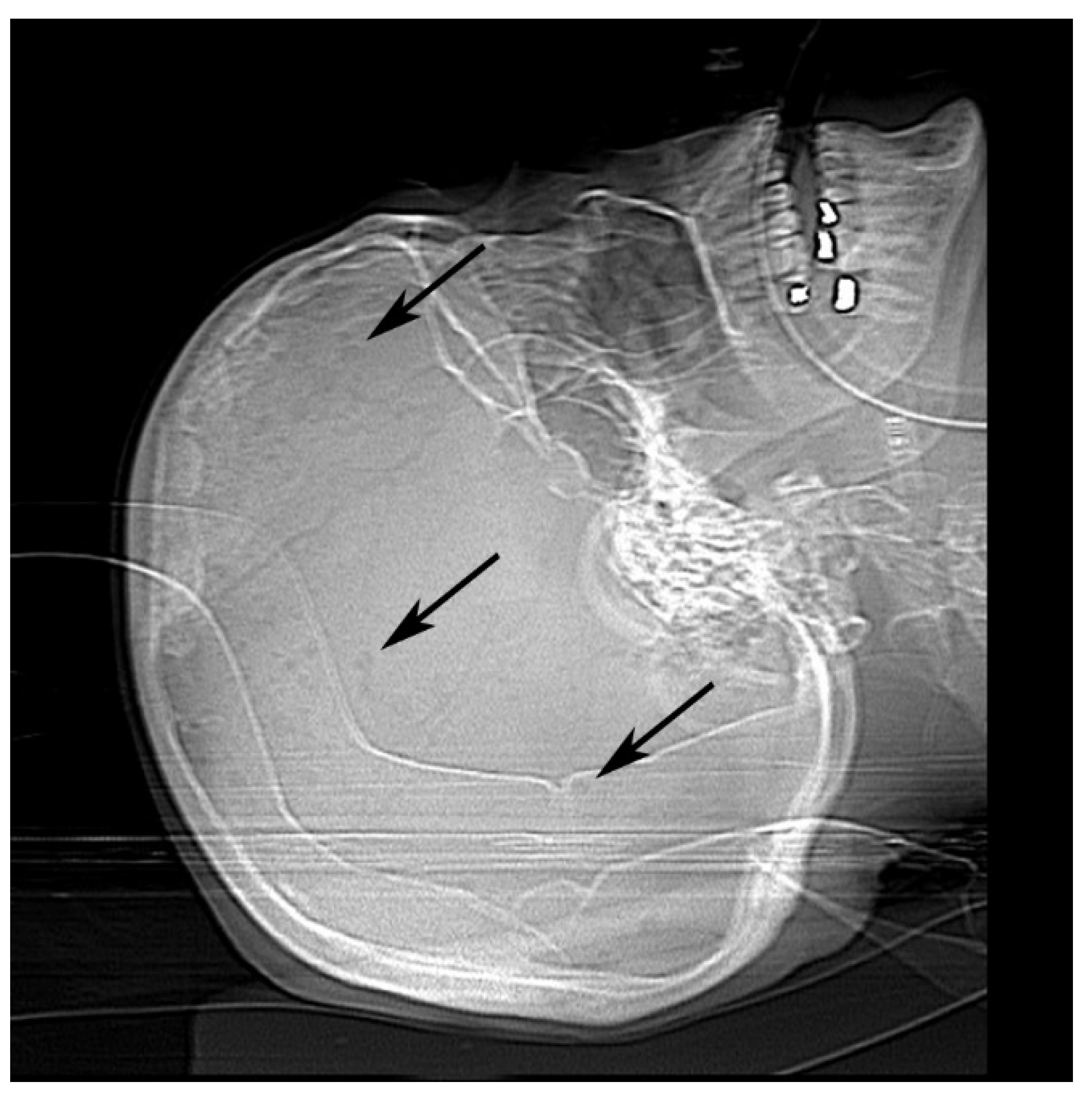 Diseases 09 00040 g001