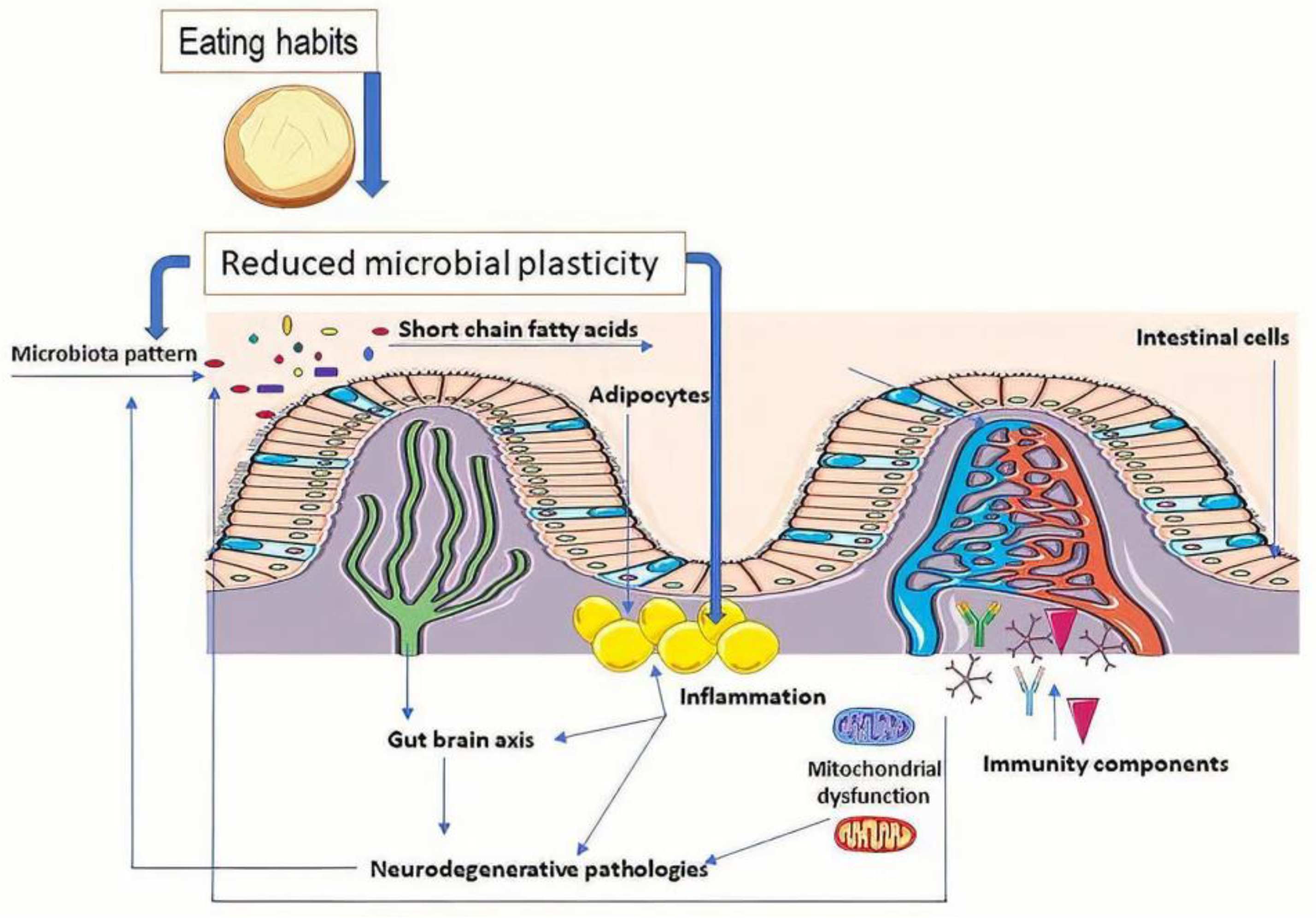Diseases 09 00045 g001