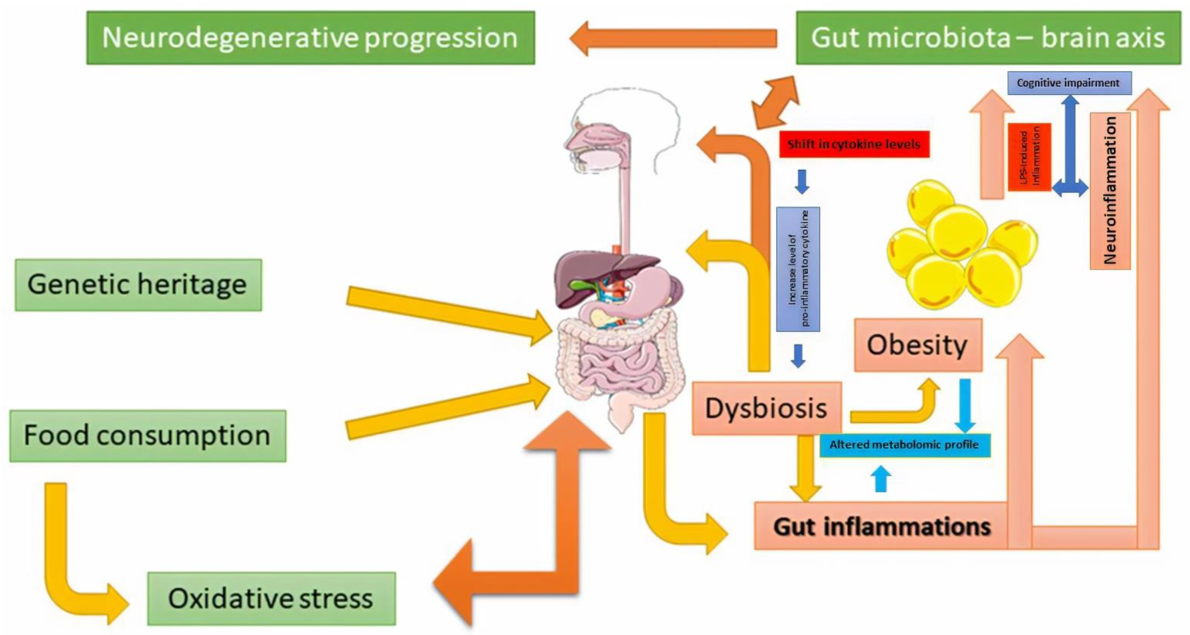 Dysbiosis stress. Dysbiosis of gut microbiota, Warts on hands only