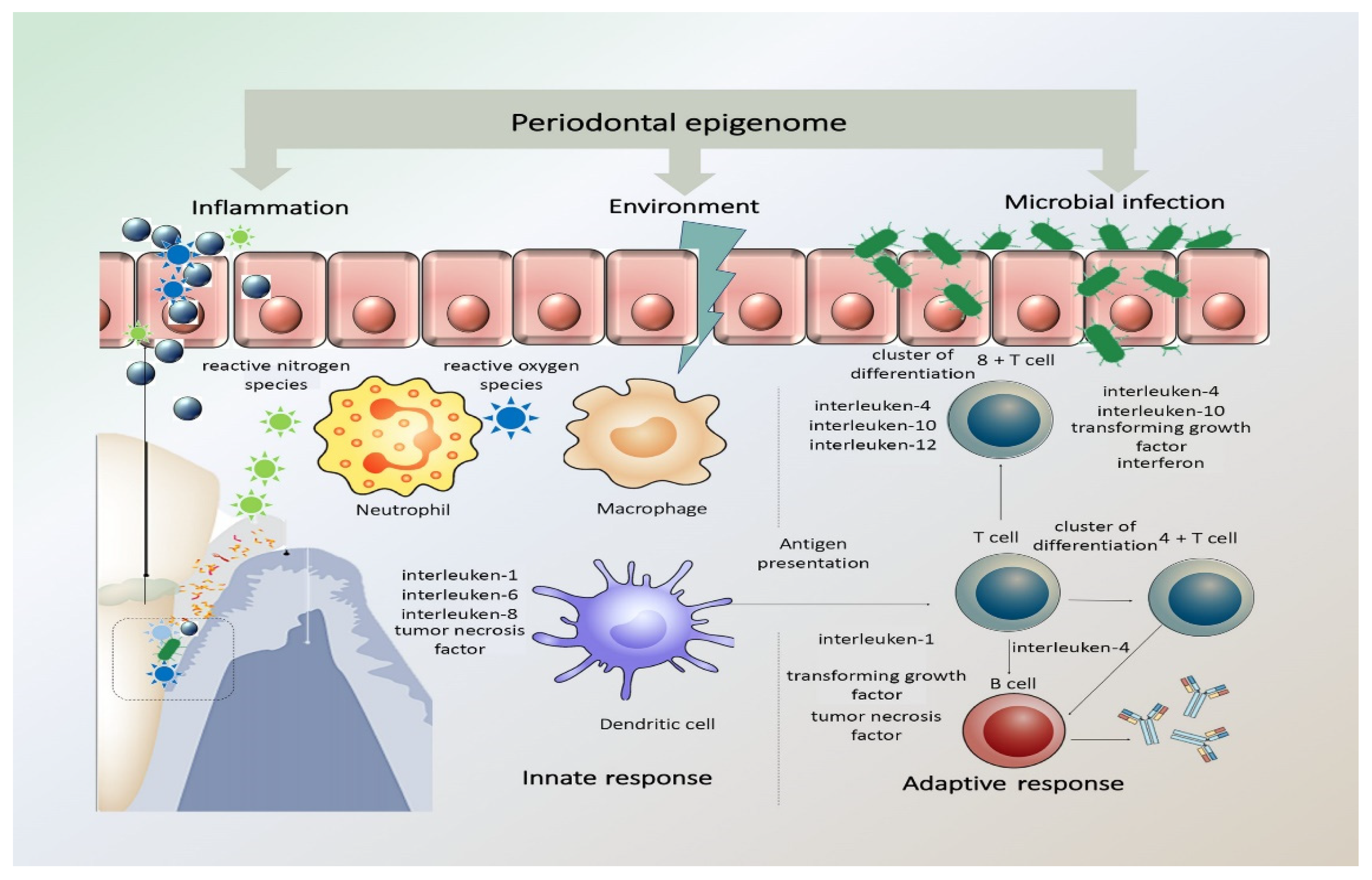 Diseases 09 00048 g001 Diseases 09 00048 g001