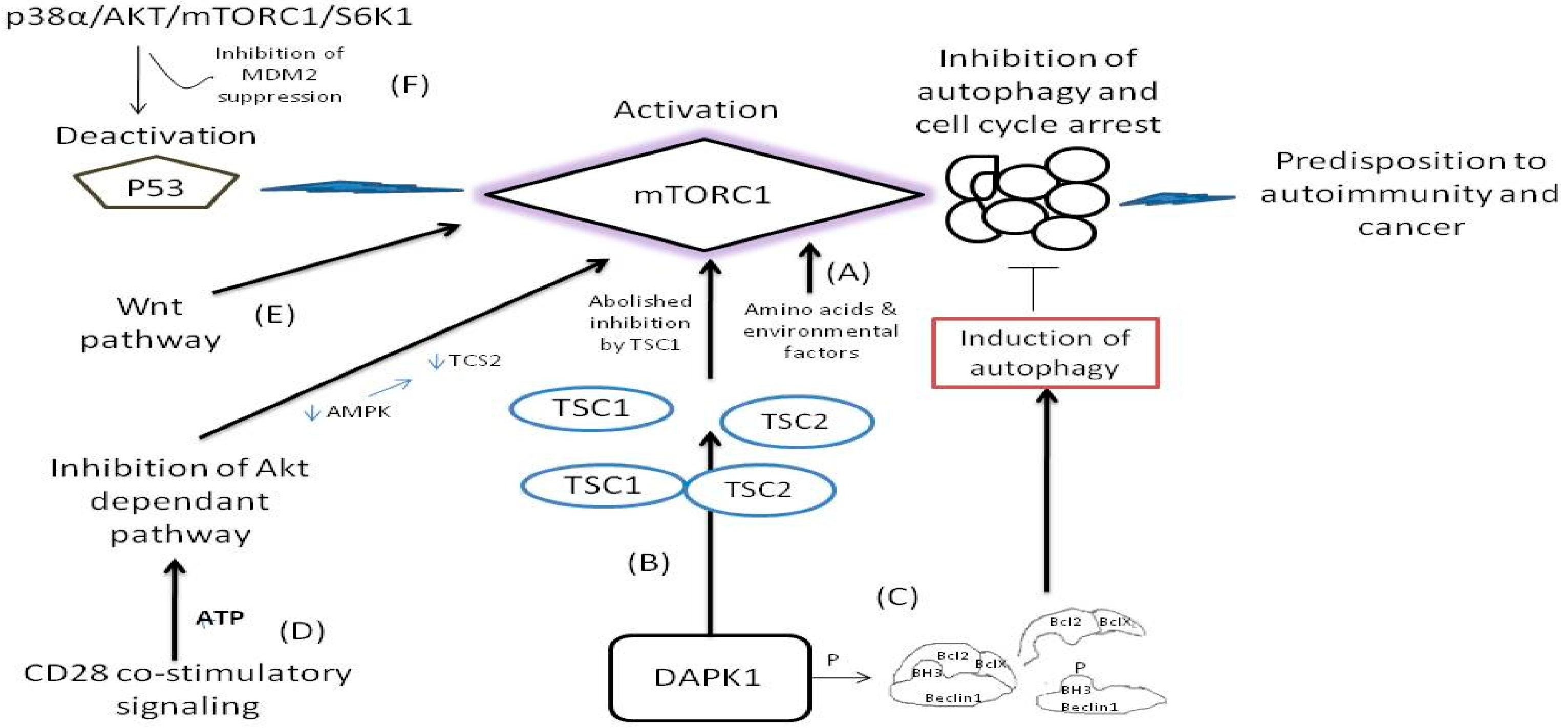 Diseases 09 00057 g002