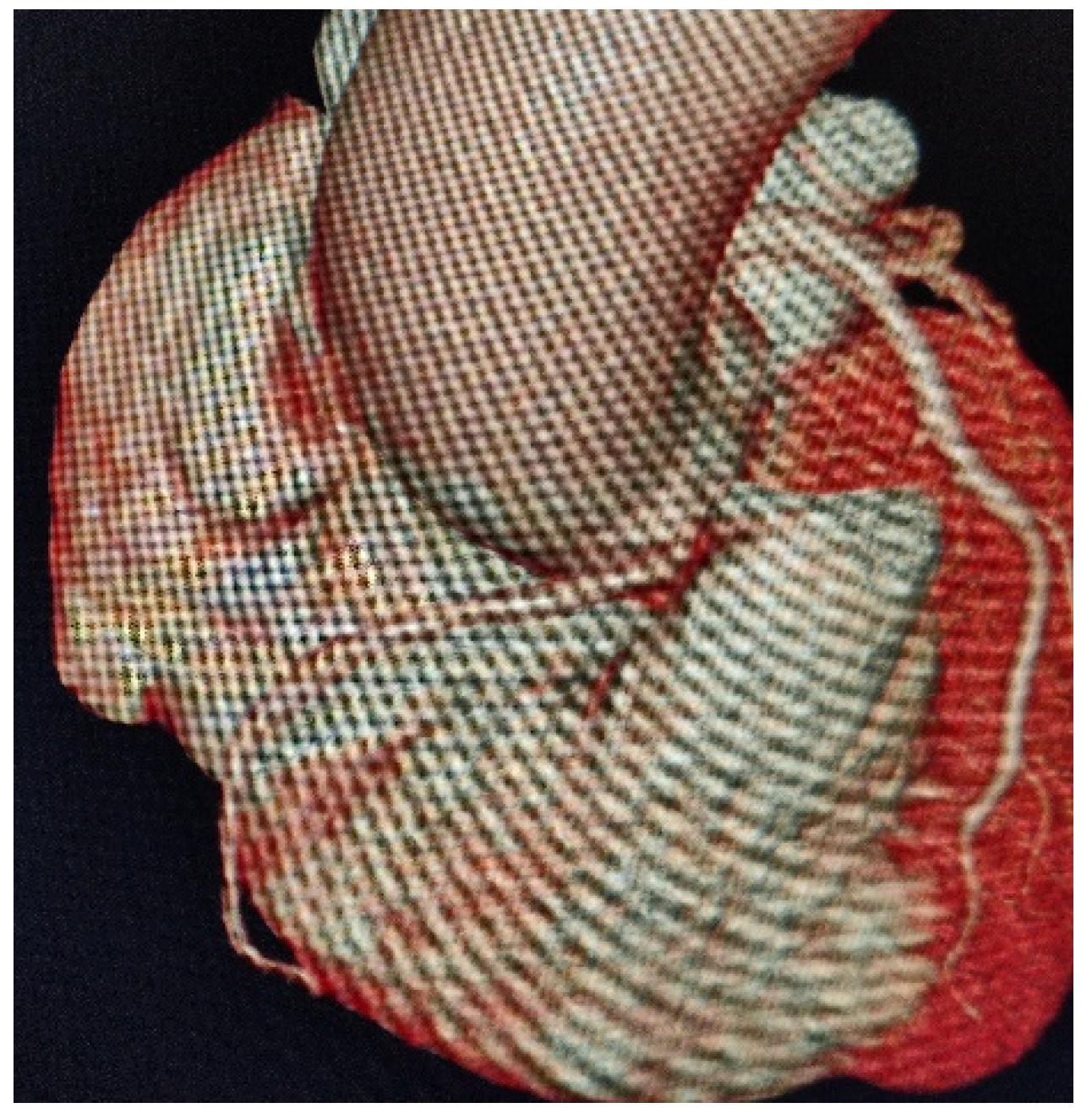 Diseases 09 00062 g001