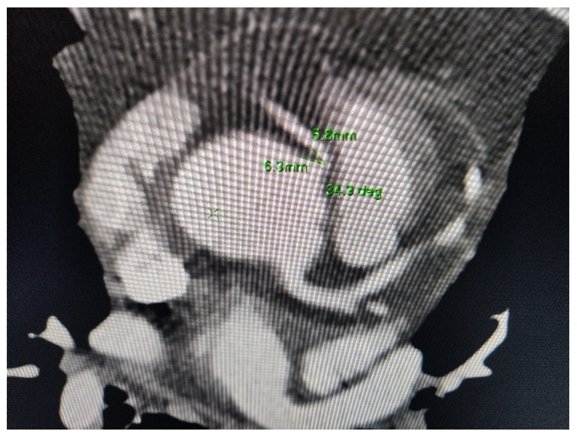 Diseases 09 00062 g002