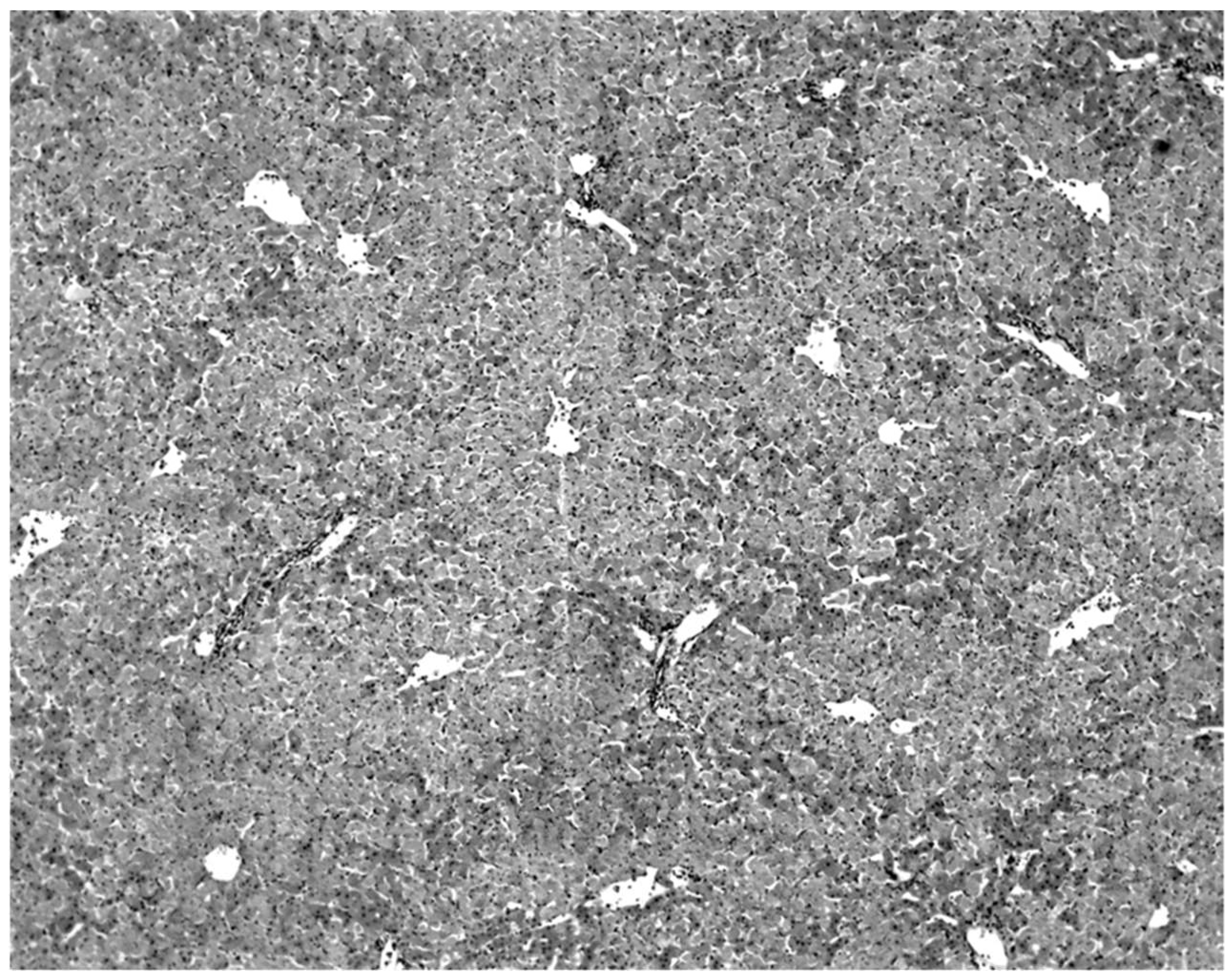 Diseases 09 00073 g002 550