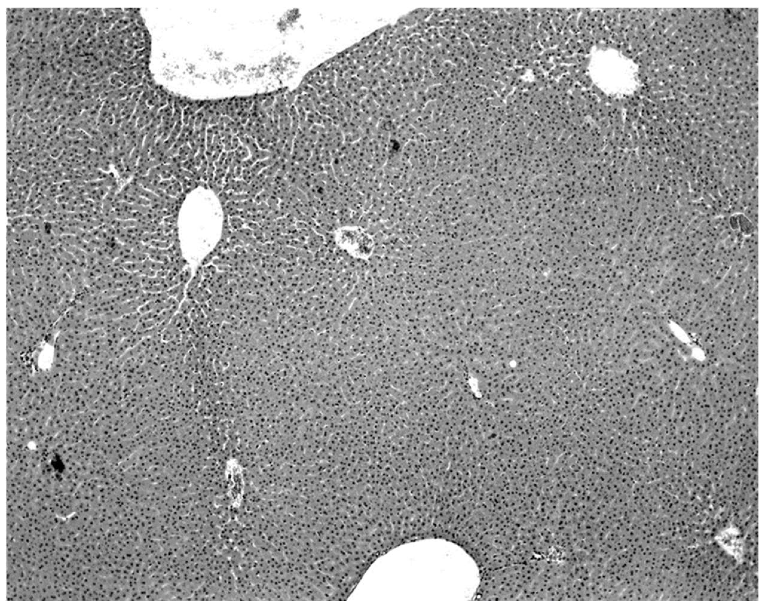 Diseases 09 00073 g003 550