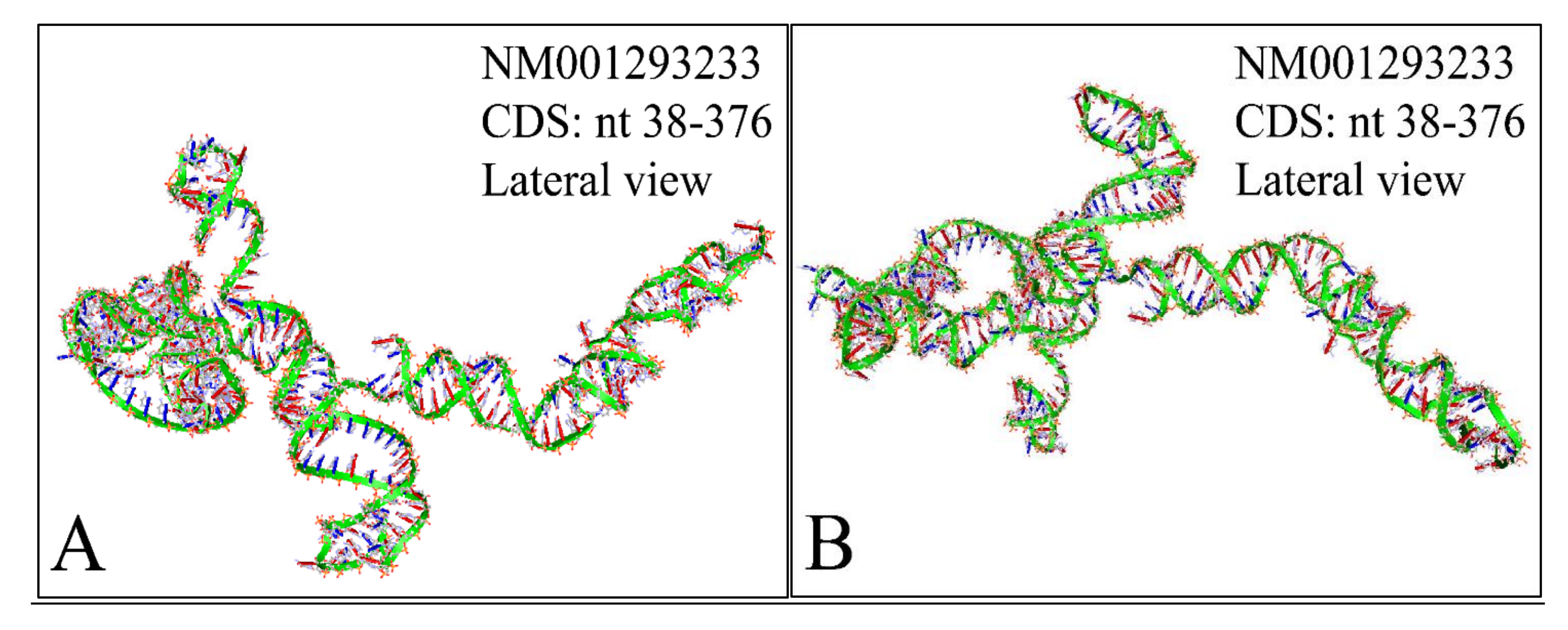 MYCN in Neuroblastoma: “Old Wine into New Wineskins”