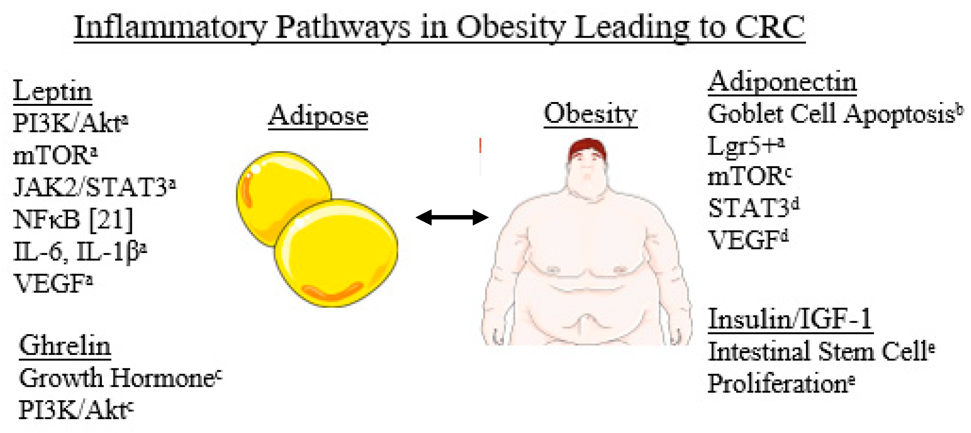 Diseases 09 00079 g001