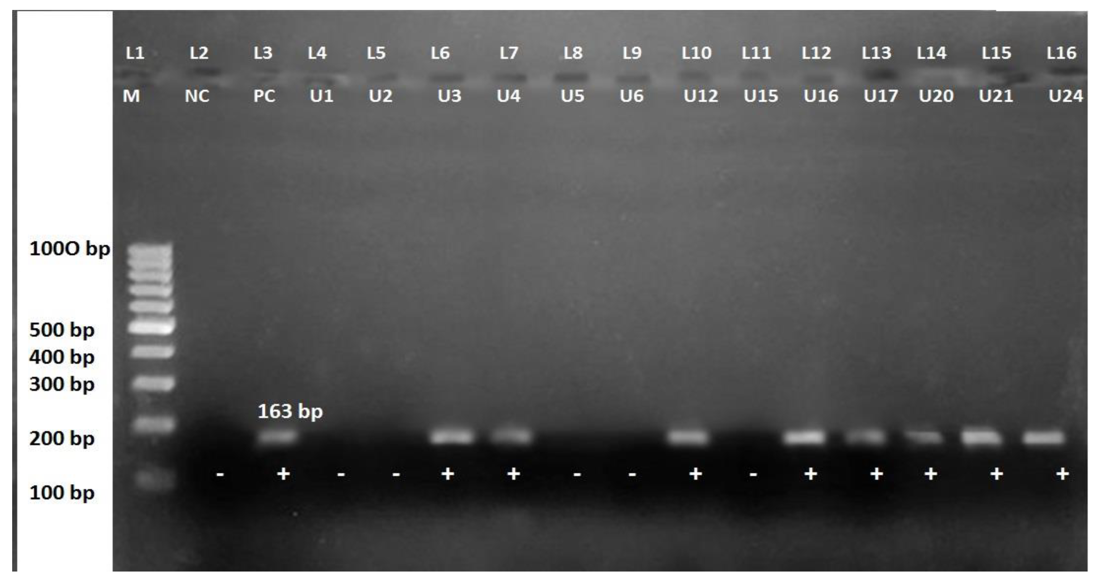 Diseases 09 00080 g002 Diseases 09 00080 g002