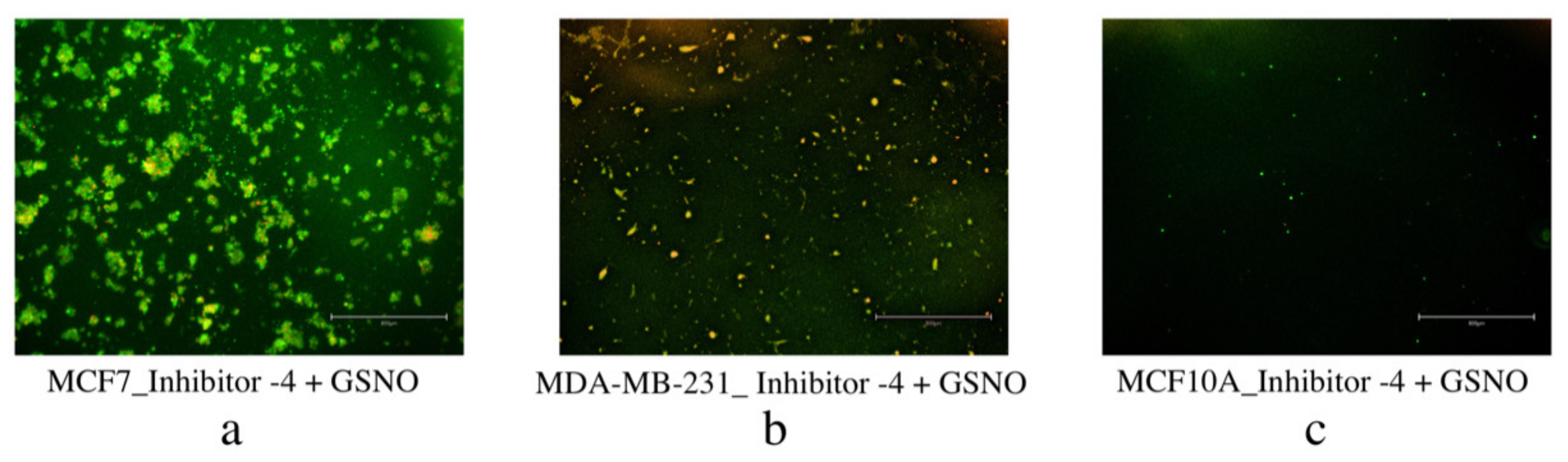 Diseases 09 00082 g013