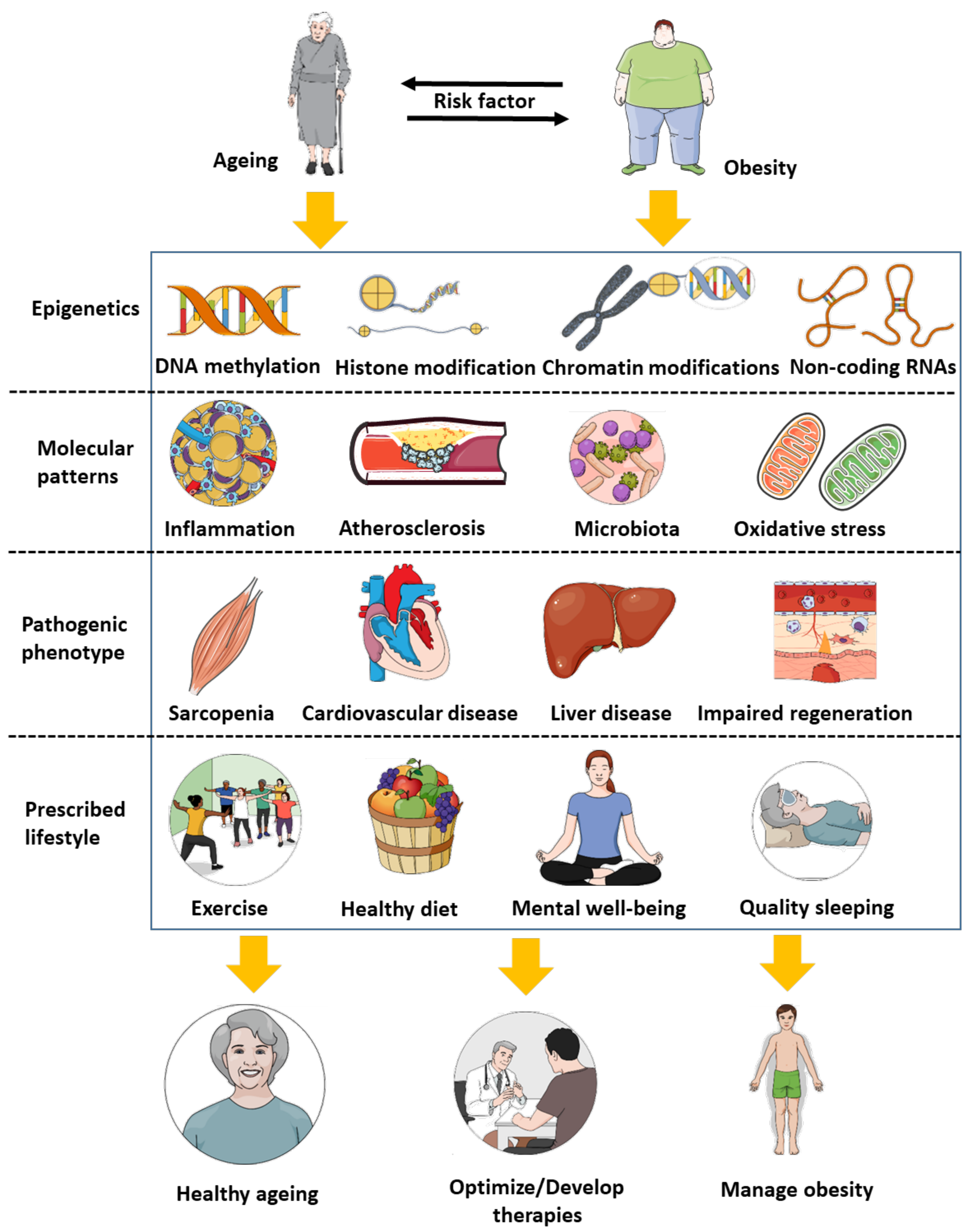 Diseases 09 00087 g001