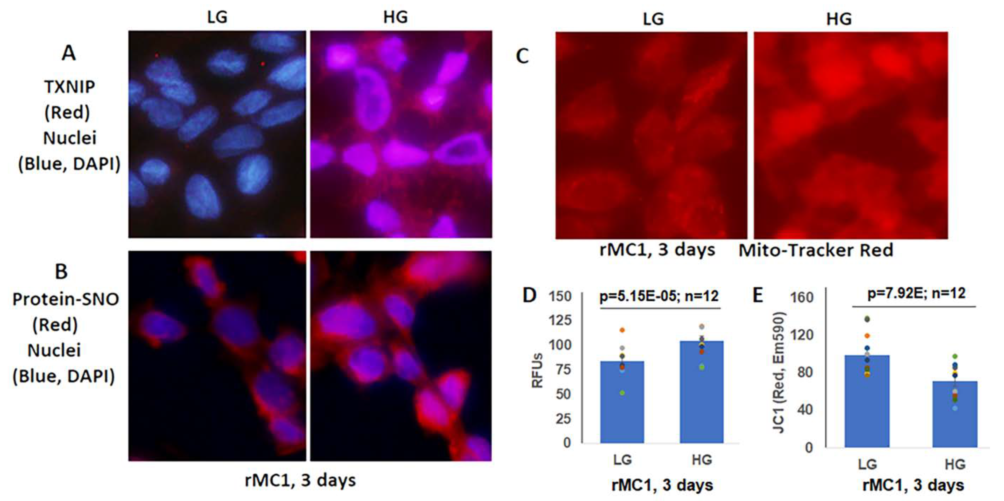 Diseases 09 00091 g003