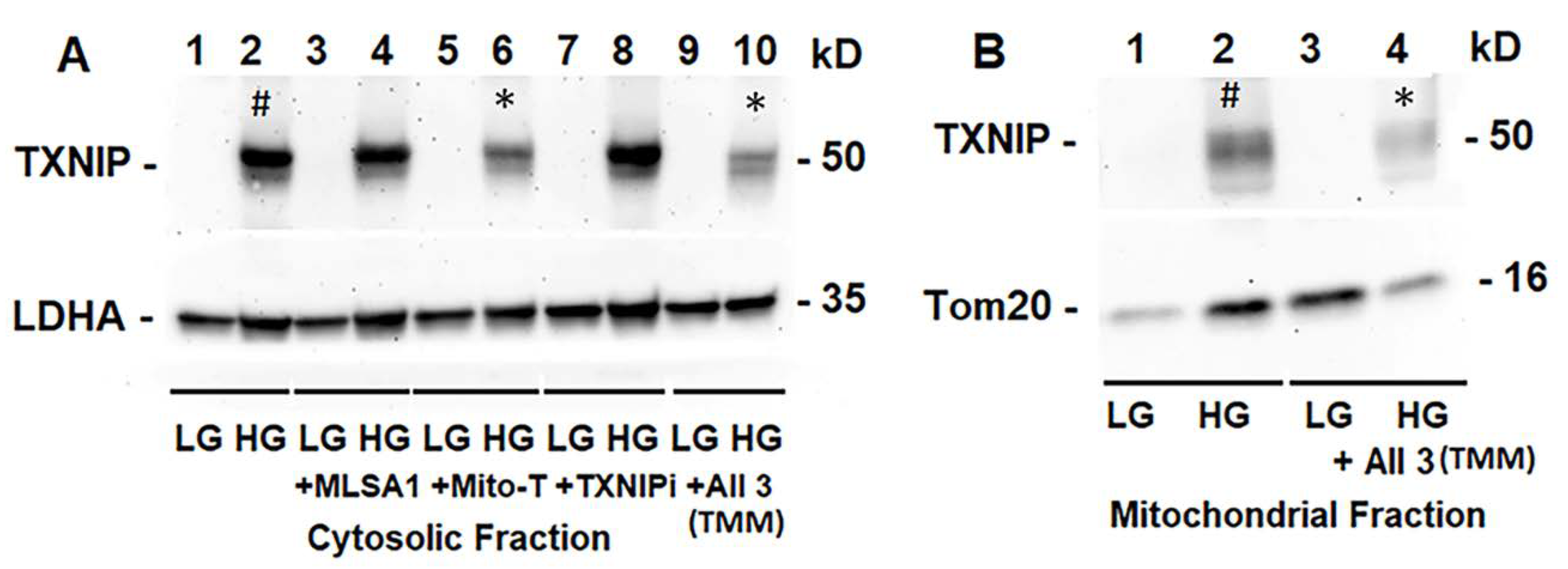 Diseases 09 00091 g005
