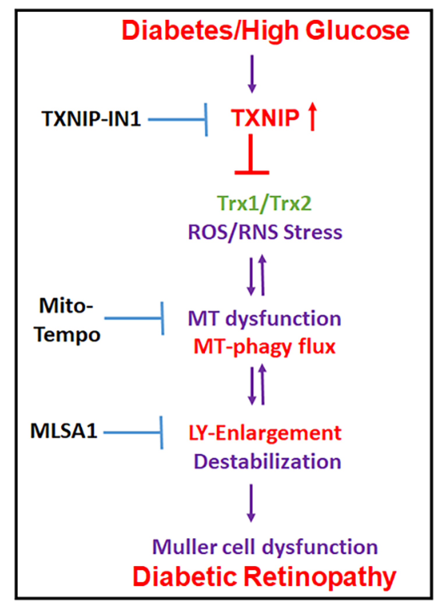 Diseases 09 00091 g010