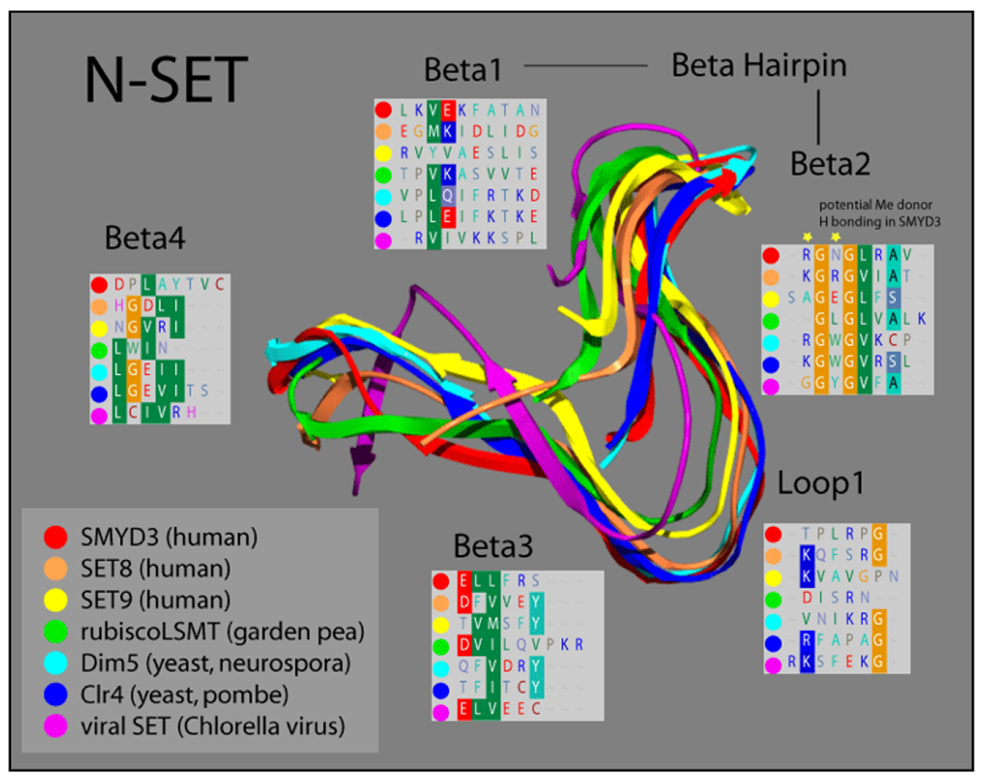 Diseases 10 00004 g002