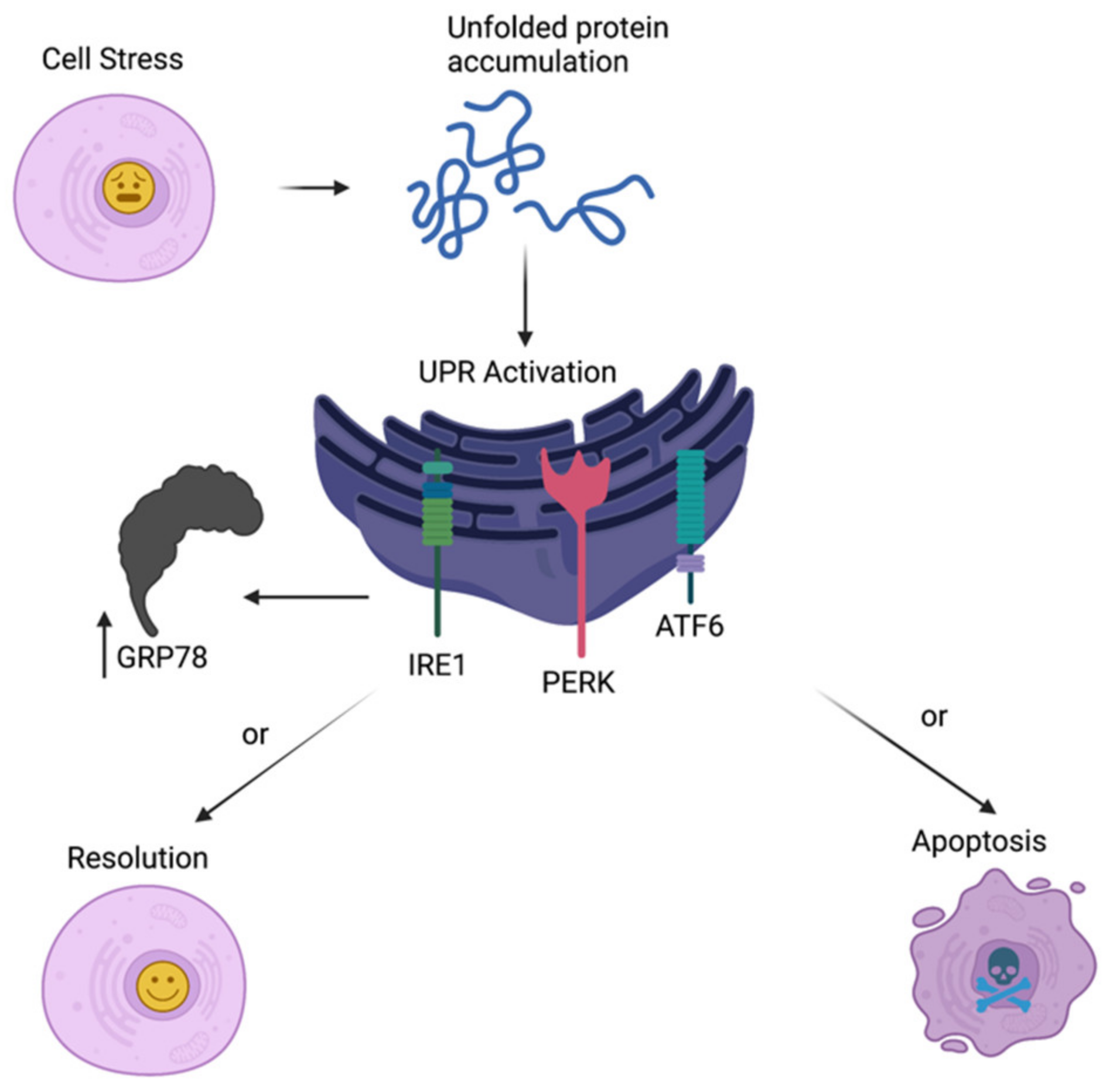 Diseases 10 00030 g001