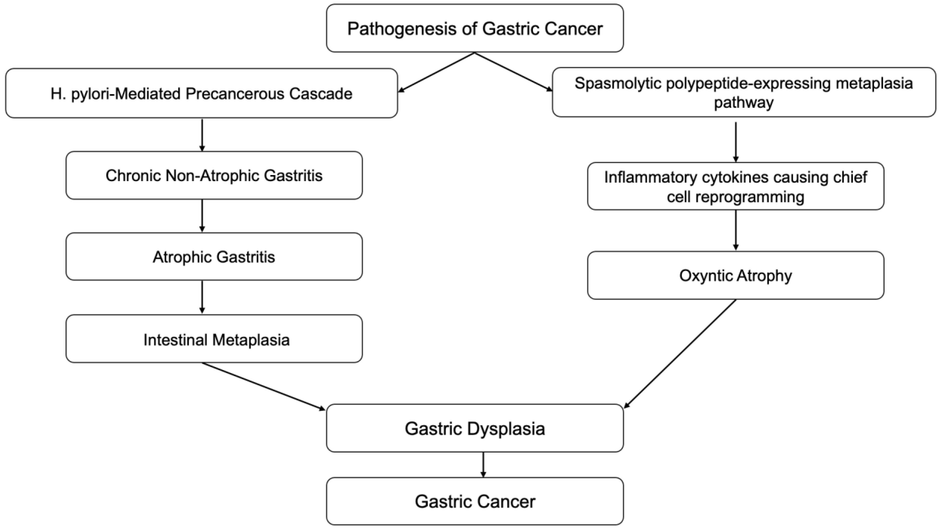Diseases 10 00035 g001