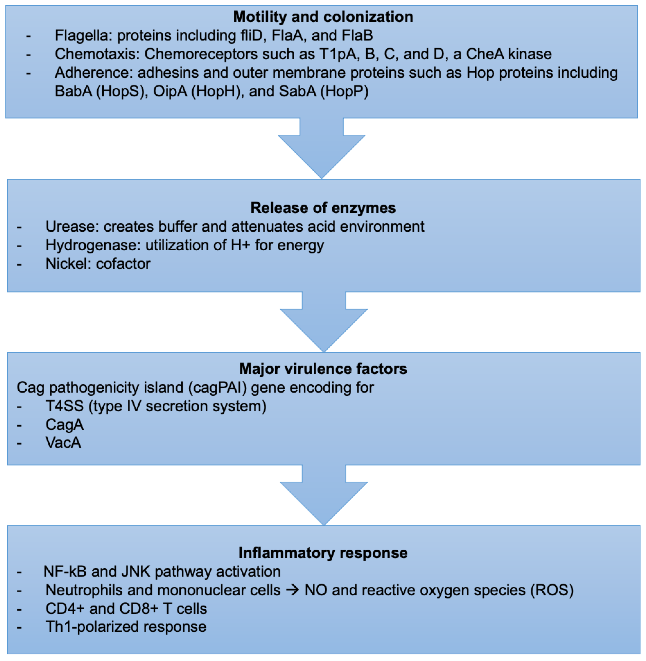 Diseases 10 00035 g002
