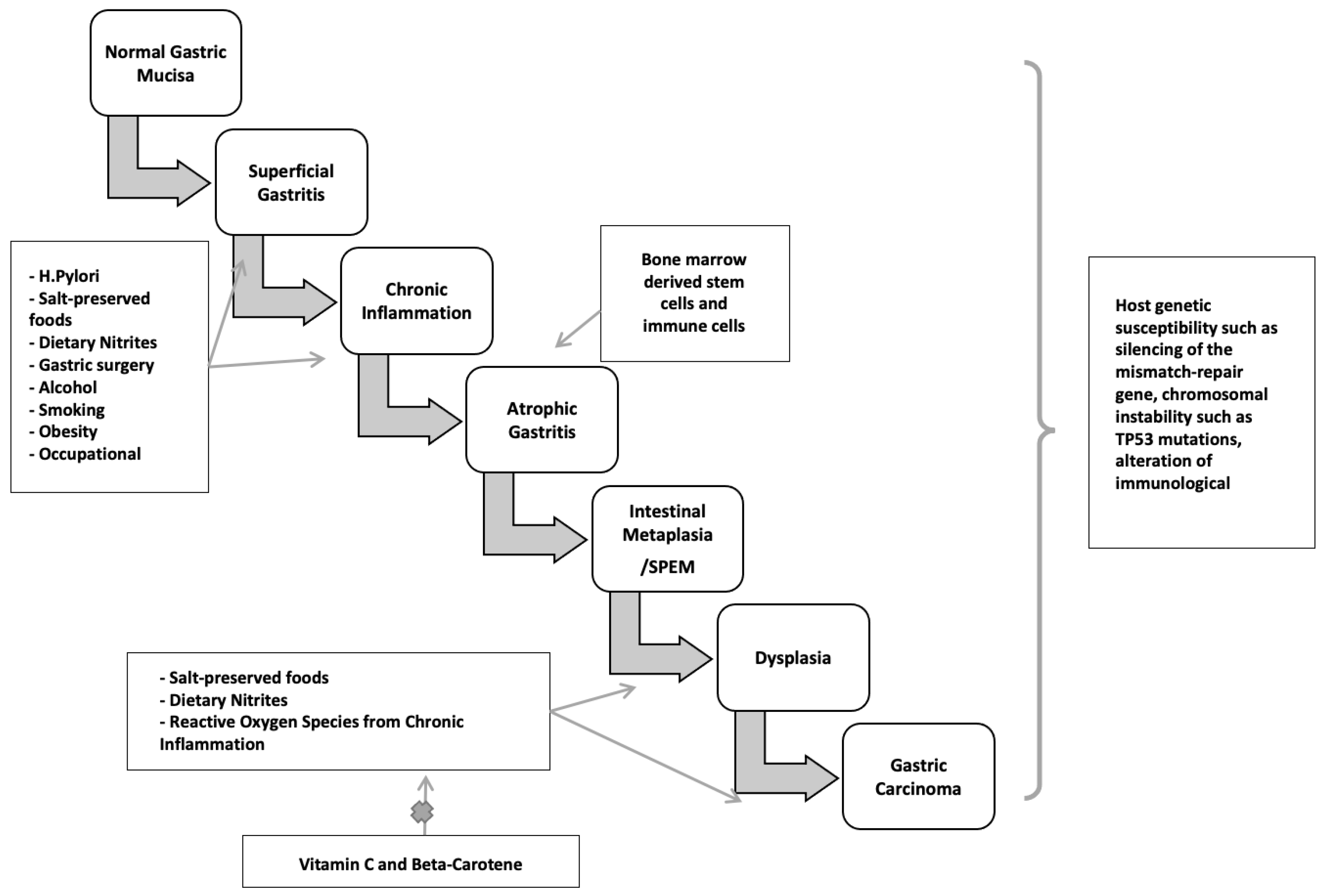 Diseases 10 00035 g003