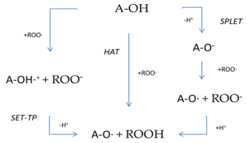 Diseases 10 00037 i001