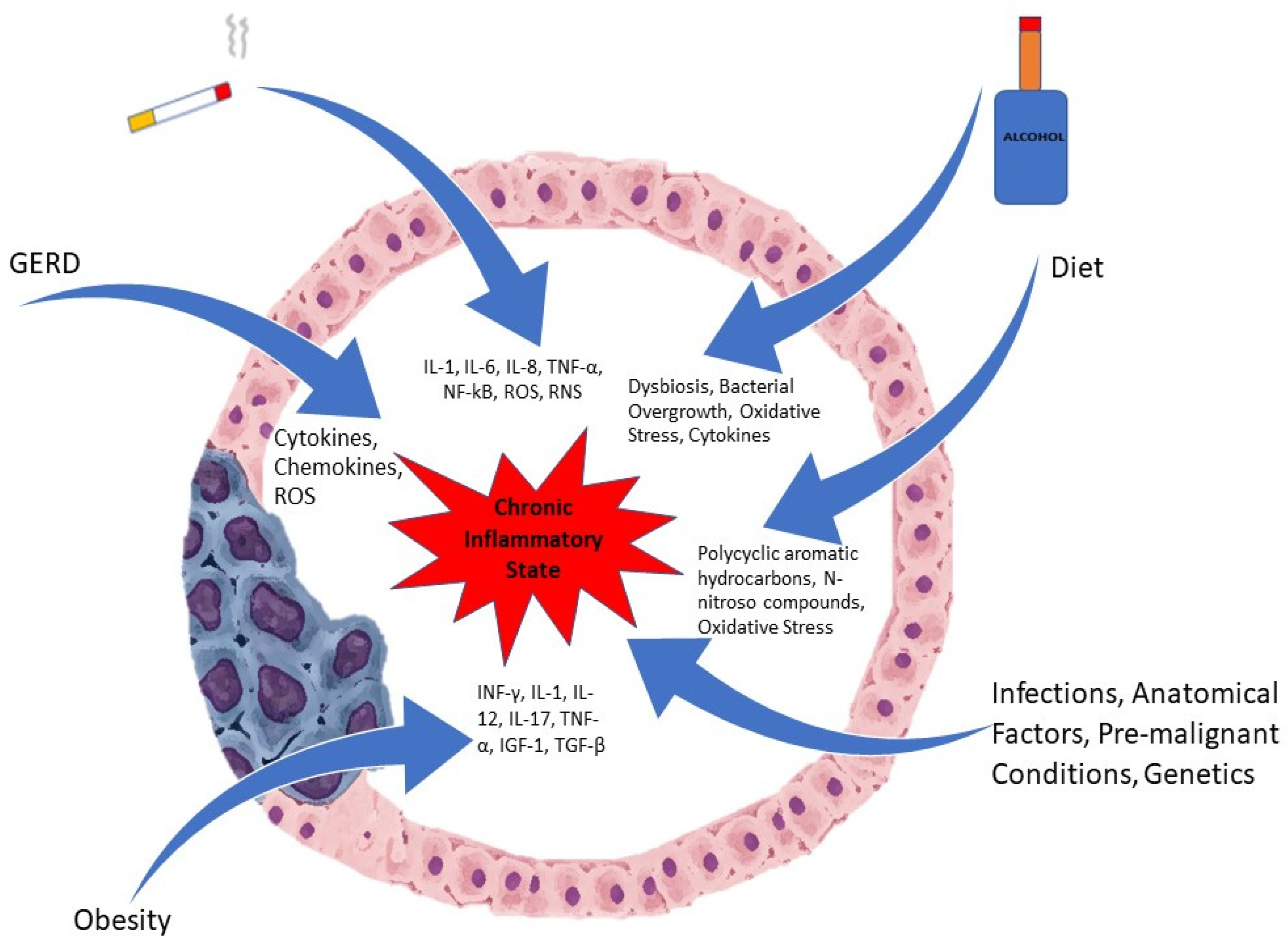 Orvos válaszol - Protexin - Gerd dysbiosis