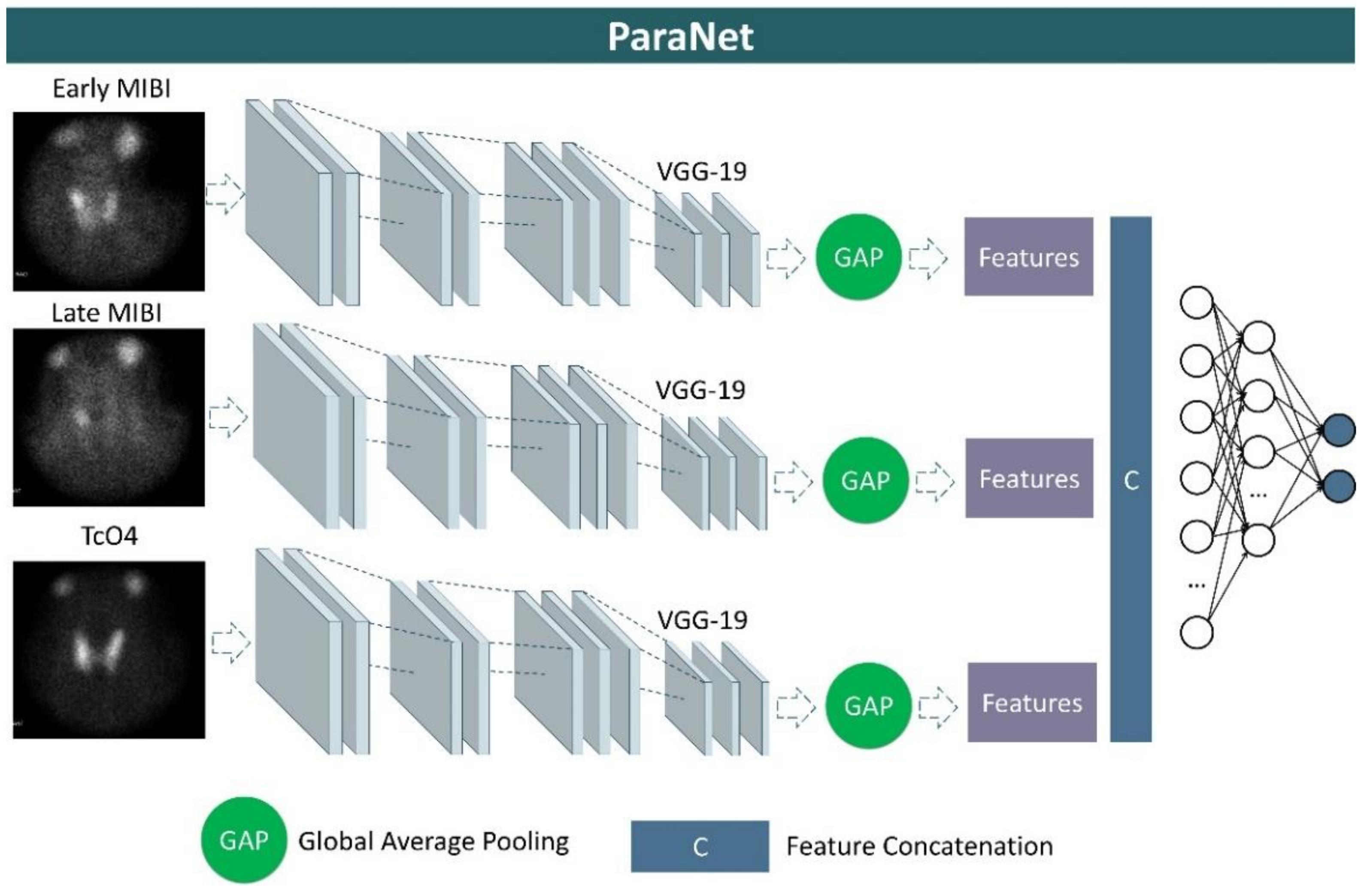 Diseases 10 00056 g002 550