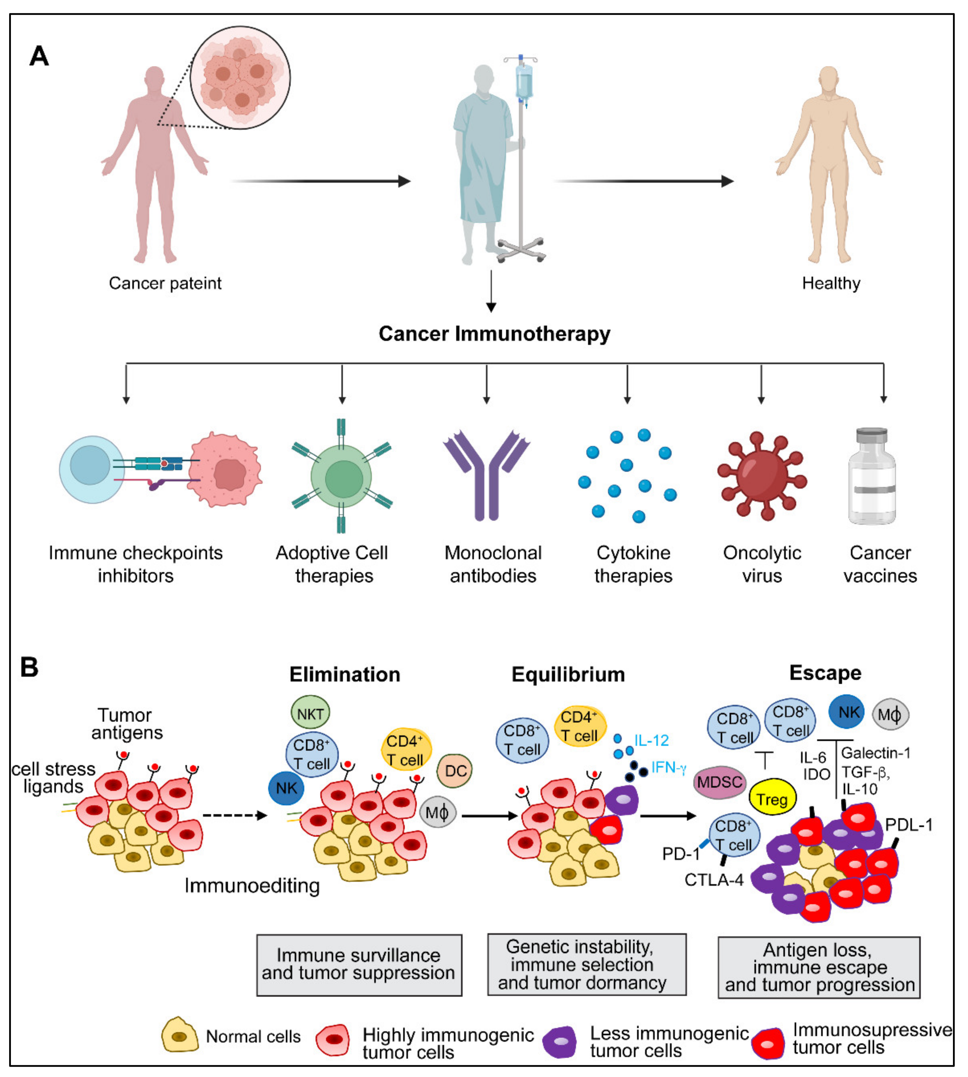 Diseases 10 00060 g001 550