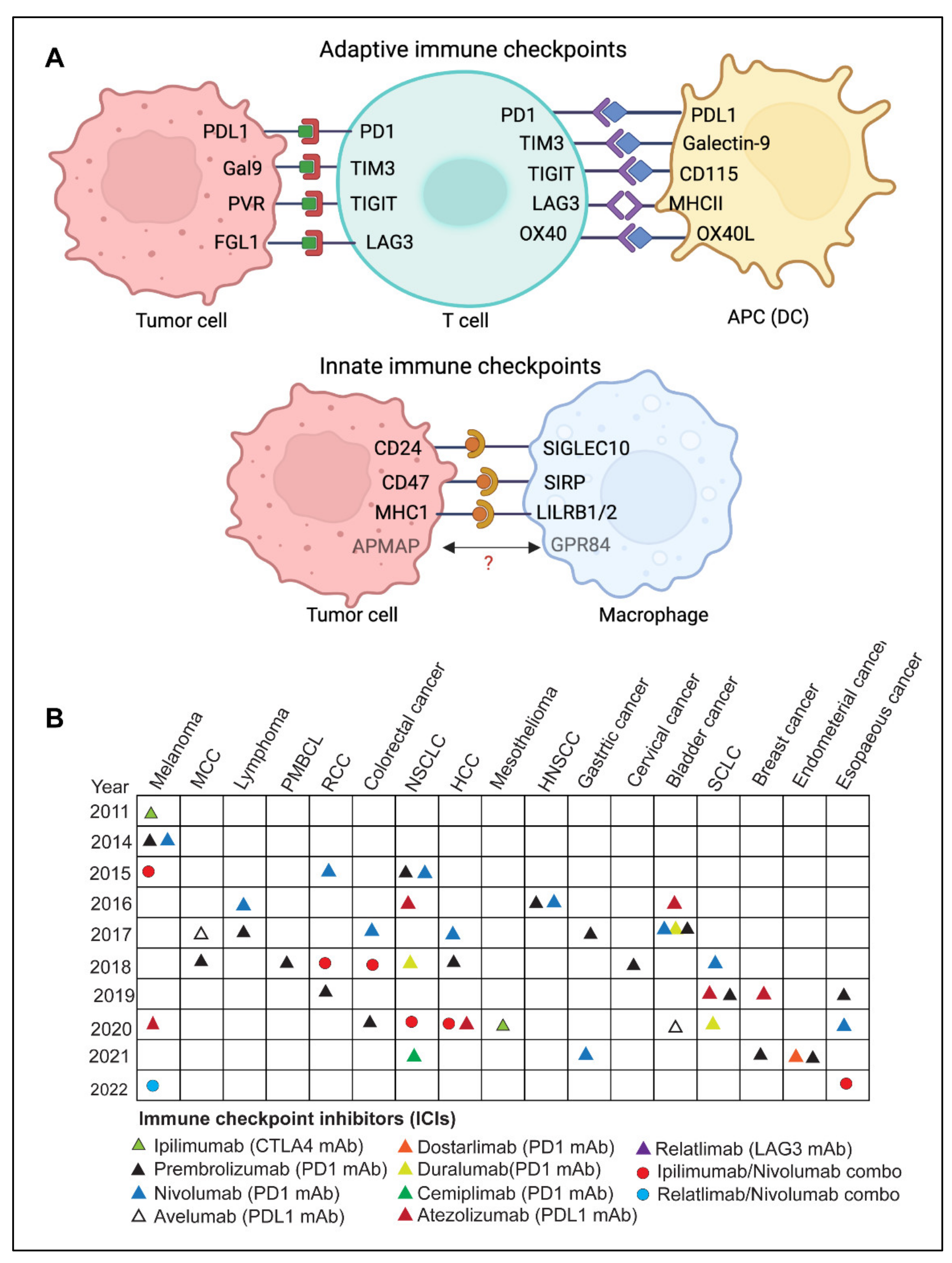 Diseases 10 00060 g002 550